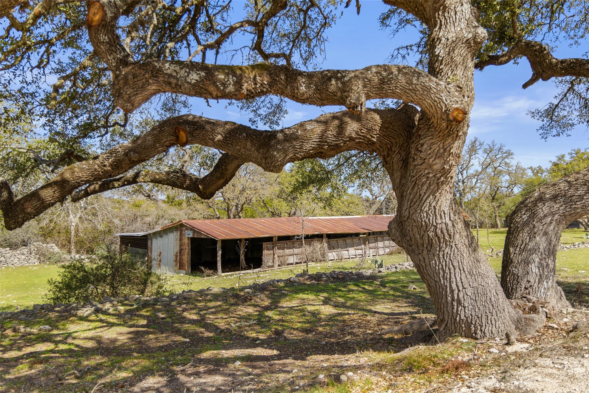 16598 Us Hwy 281 Property Photo 5