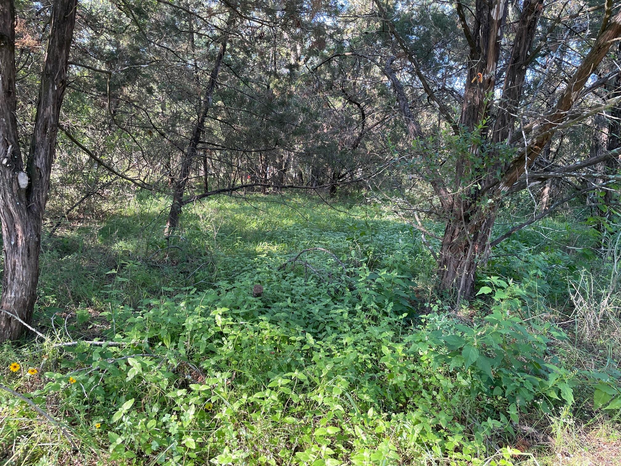Lot 423 Indian Summer None Property Photo 1
