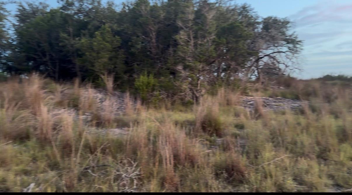 Tbd Farris Ridge Pkwy Property Photo 4