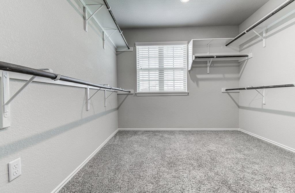 17324 Brittle Ln Property Photo 22