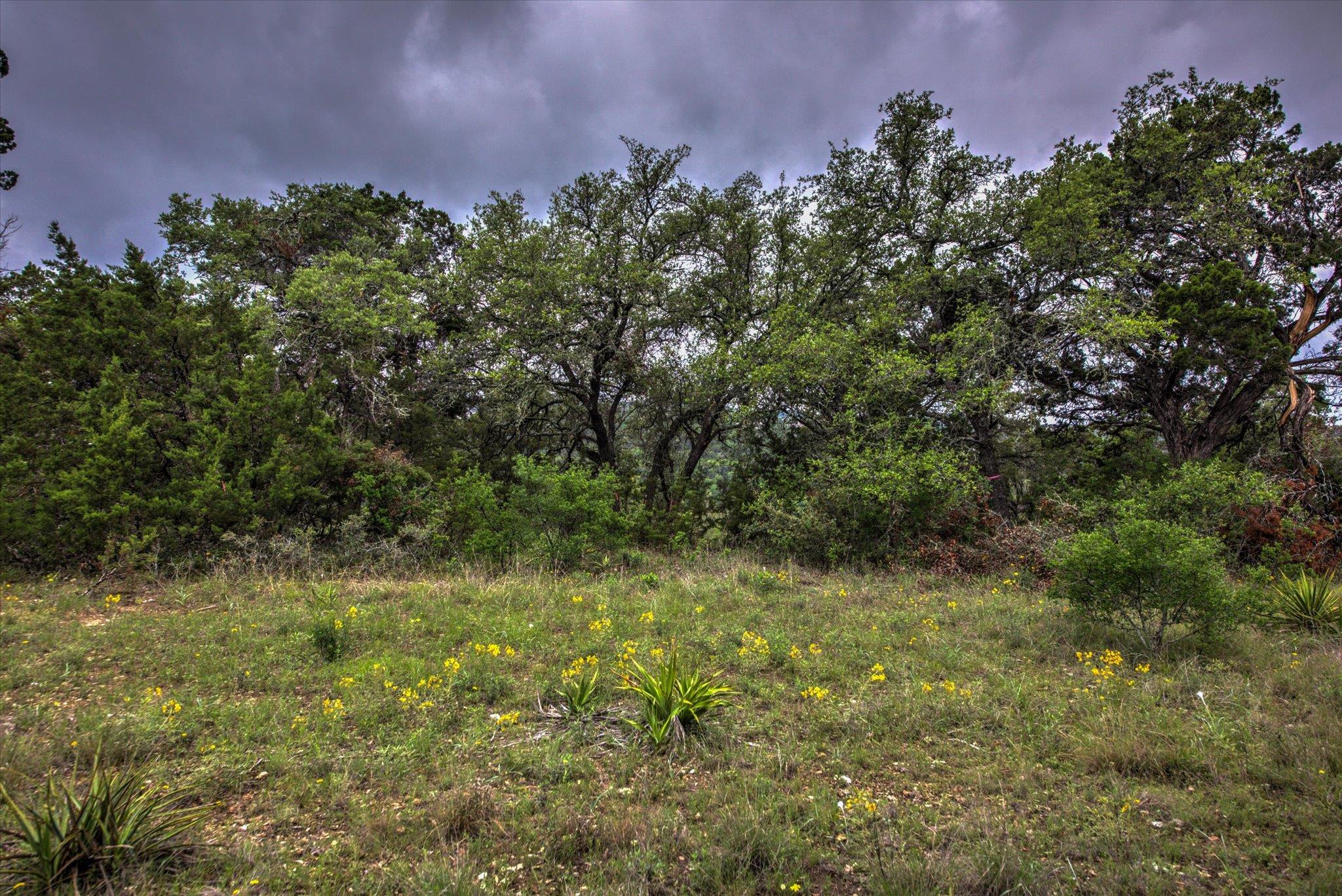18333 Hidden Ridge Pl Property Photo 28