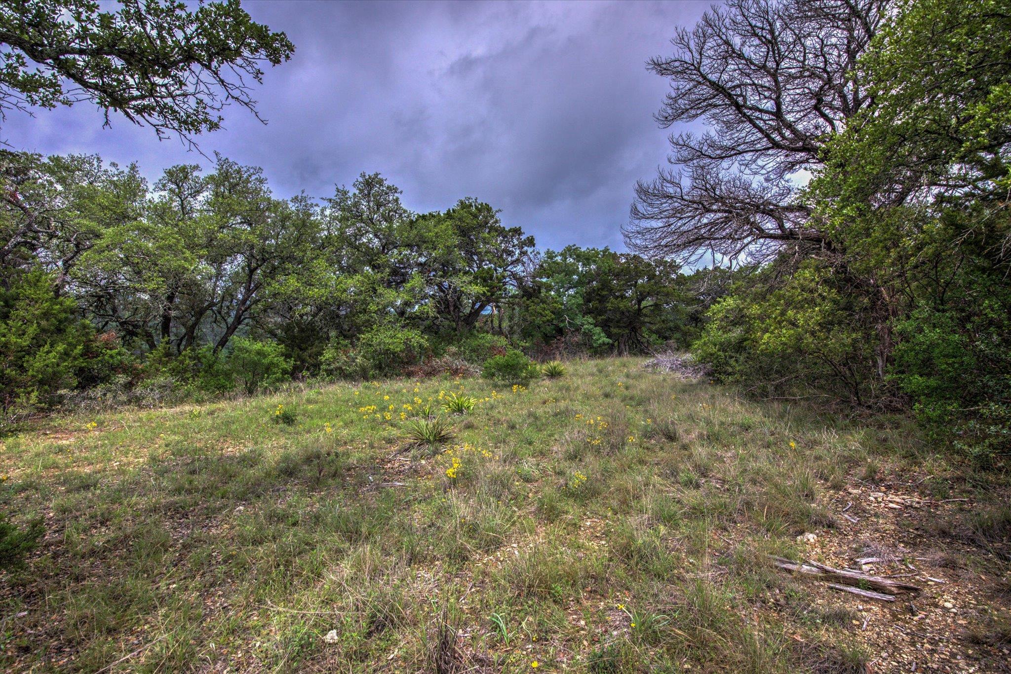 18333 Hidden Ridge Pl Property Photo 30
