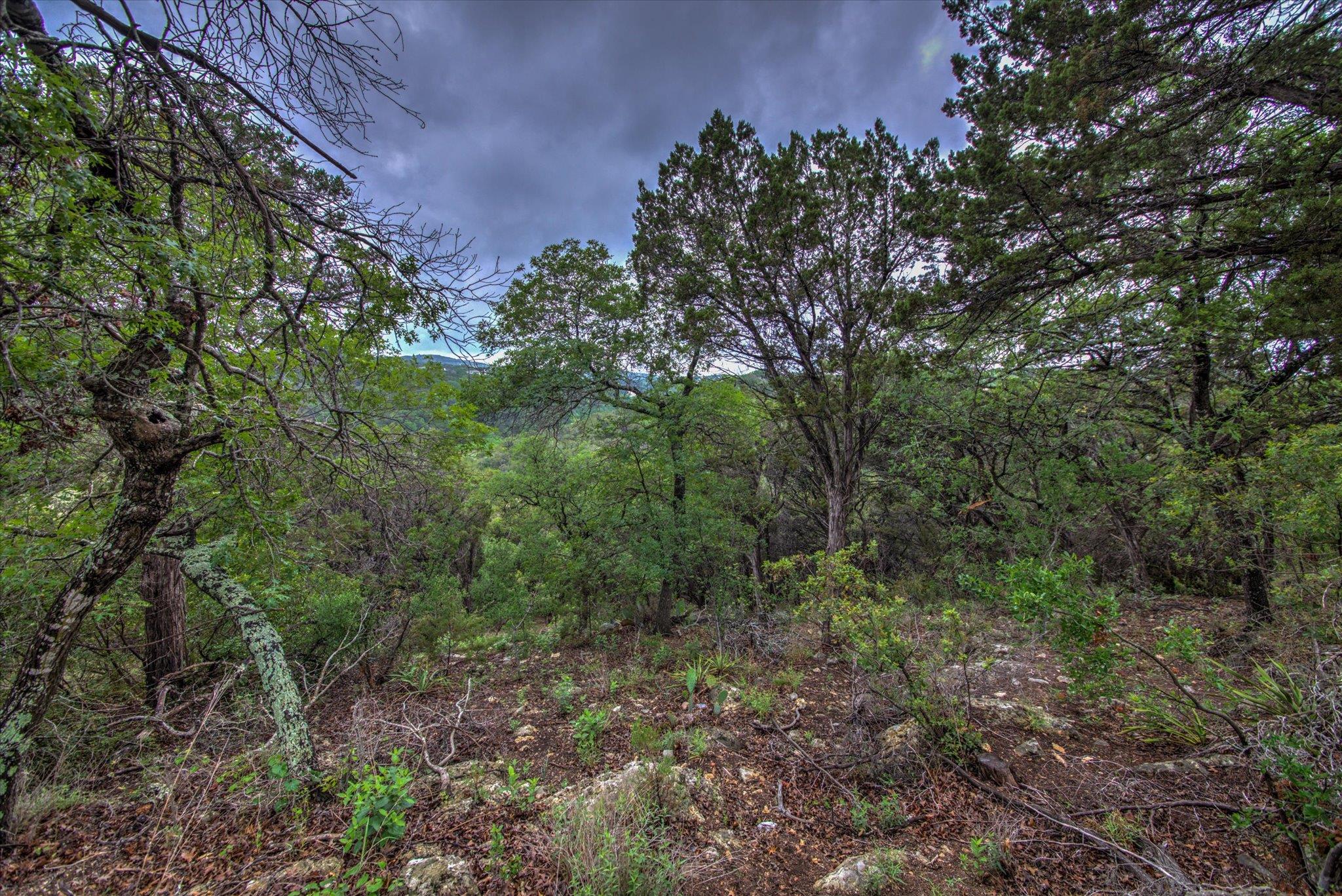 18333 Hidden Ridge Pl Property Photo 31
