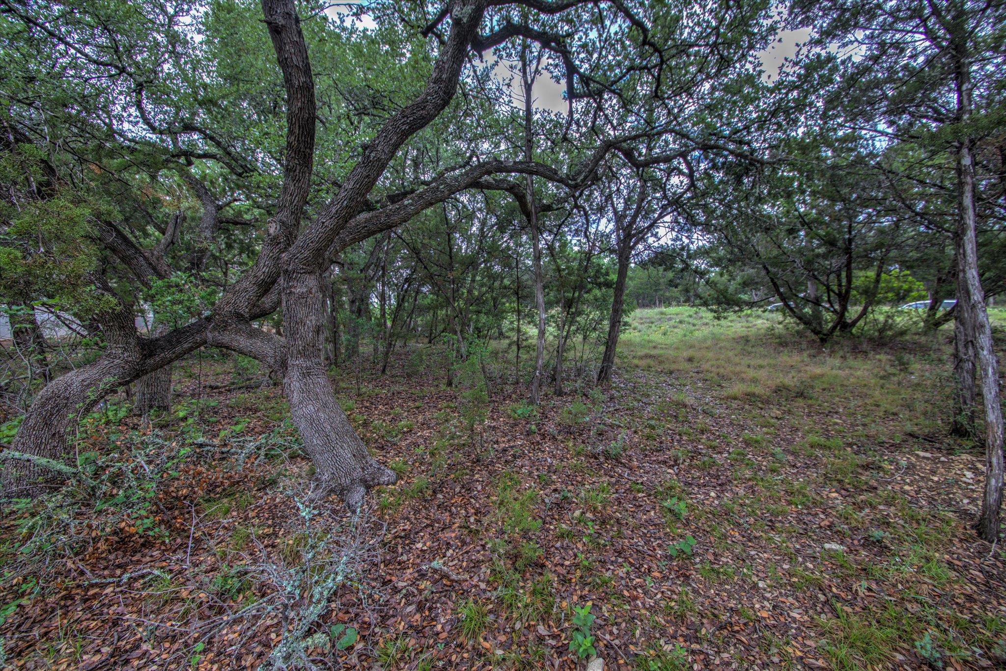 18333 Hidden Ridge Pl Property Photo 32
