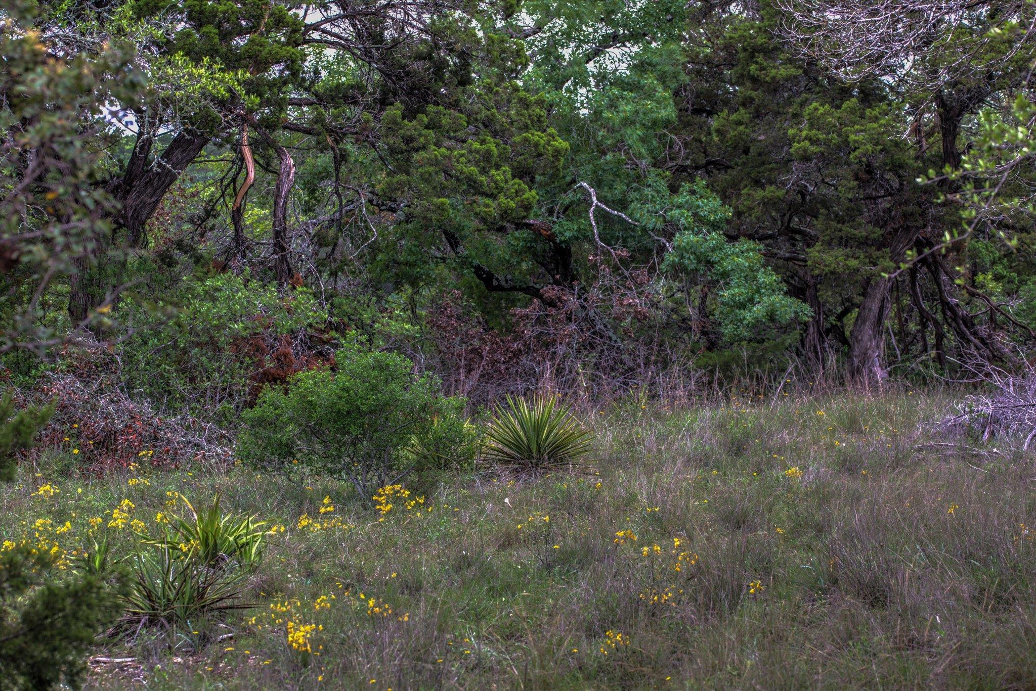 18333 Hidden Ridge Pl Property Photo 33