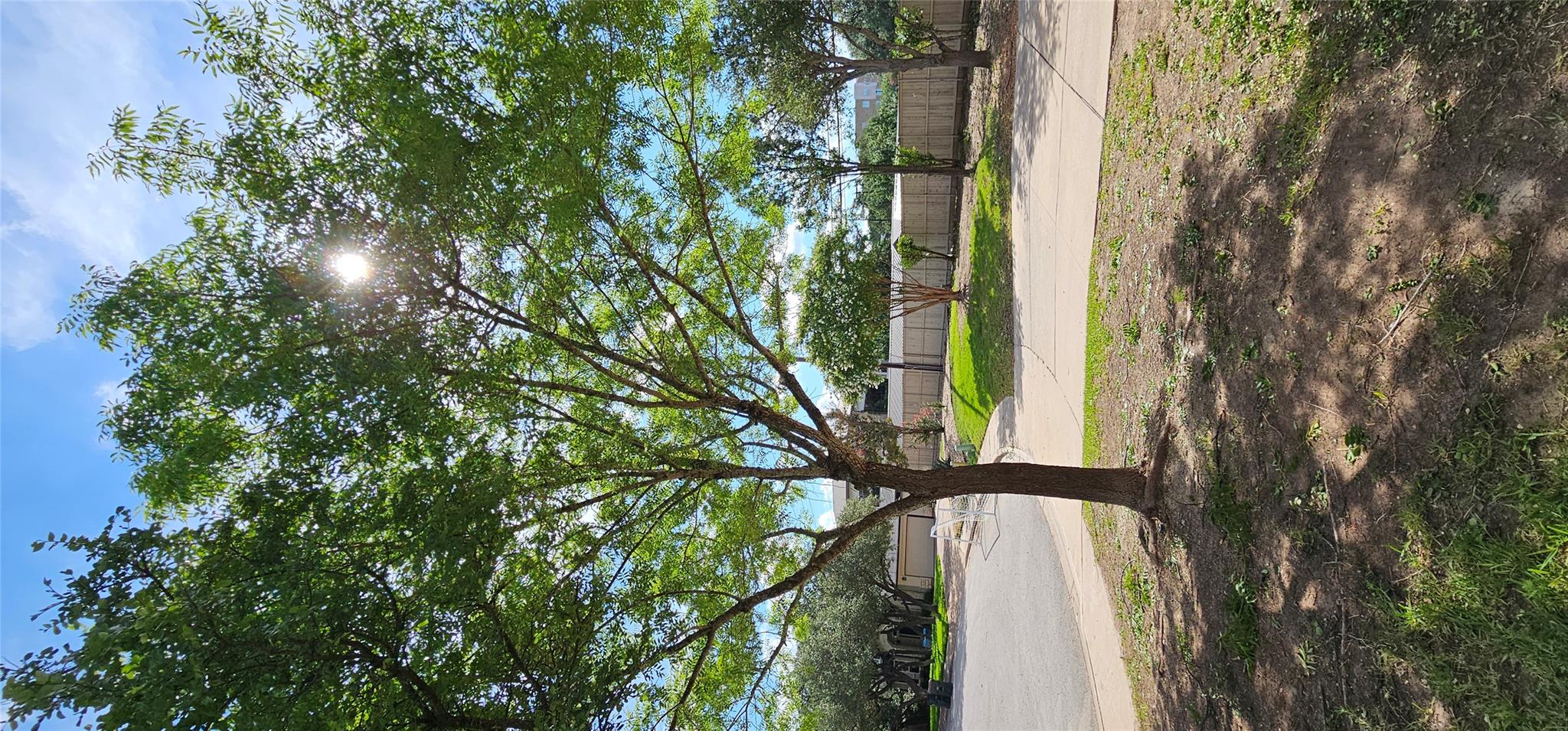 11505 Emerald Falls Dr Property Photo 22