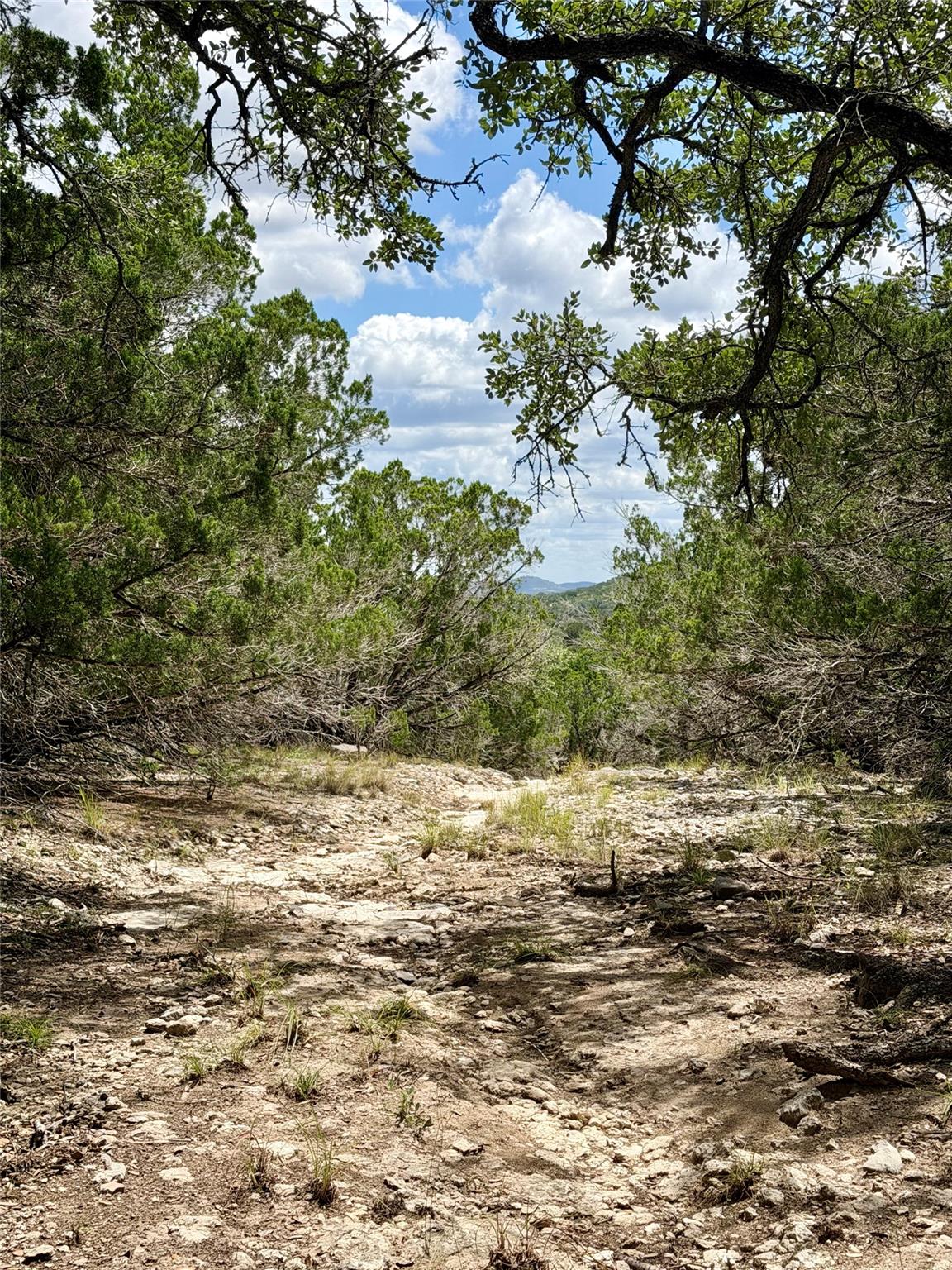 Tbd W Bear Spring Rd Property Photo 5
