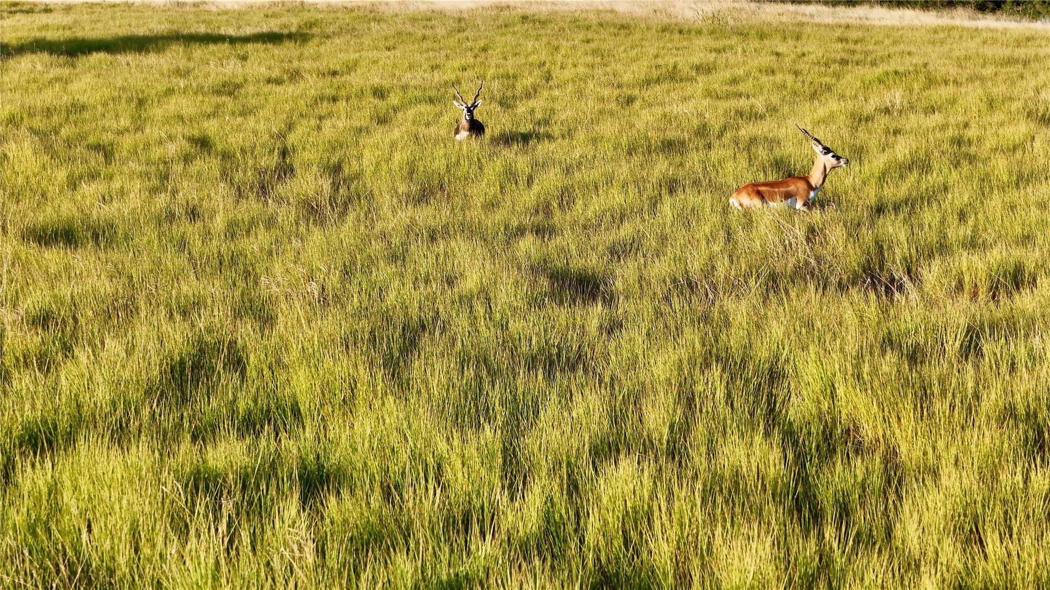 Lot 14 Mesa Grande Ct Property Photo 8