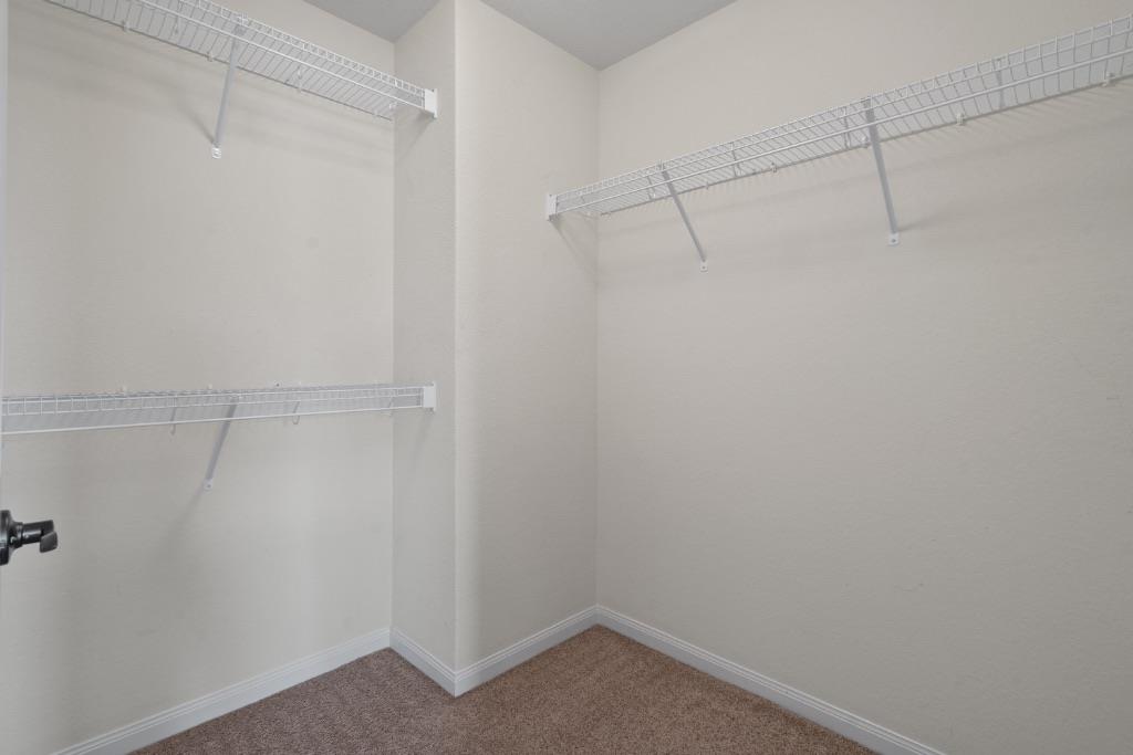 1445 Treeta Trl Property Photo 19