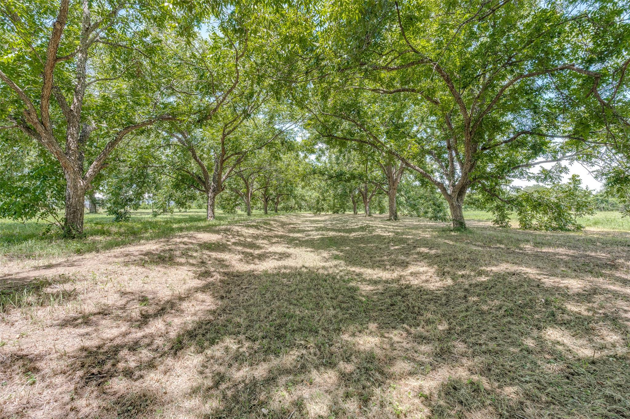 263 Krams Creek Rd Property Photo 5