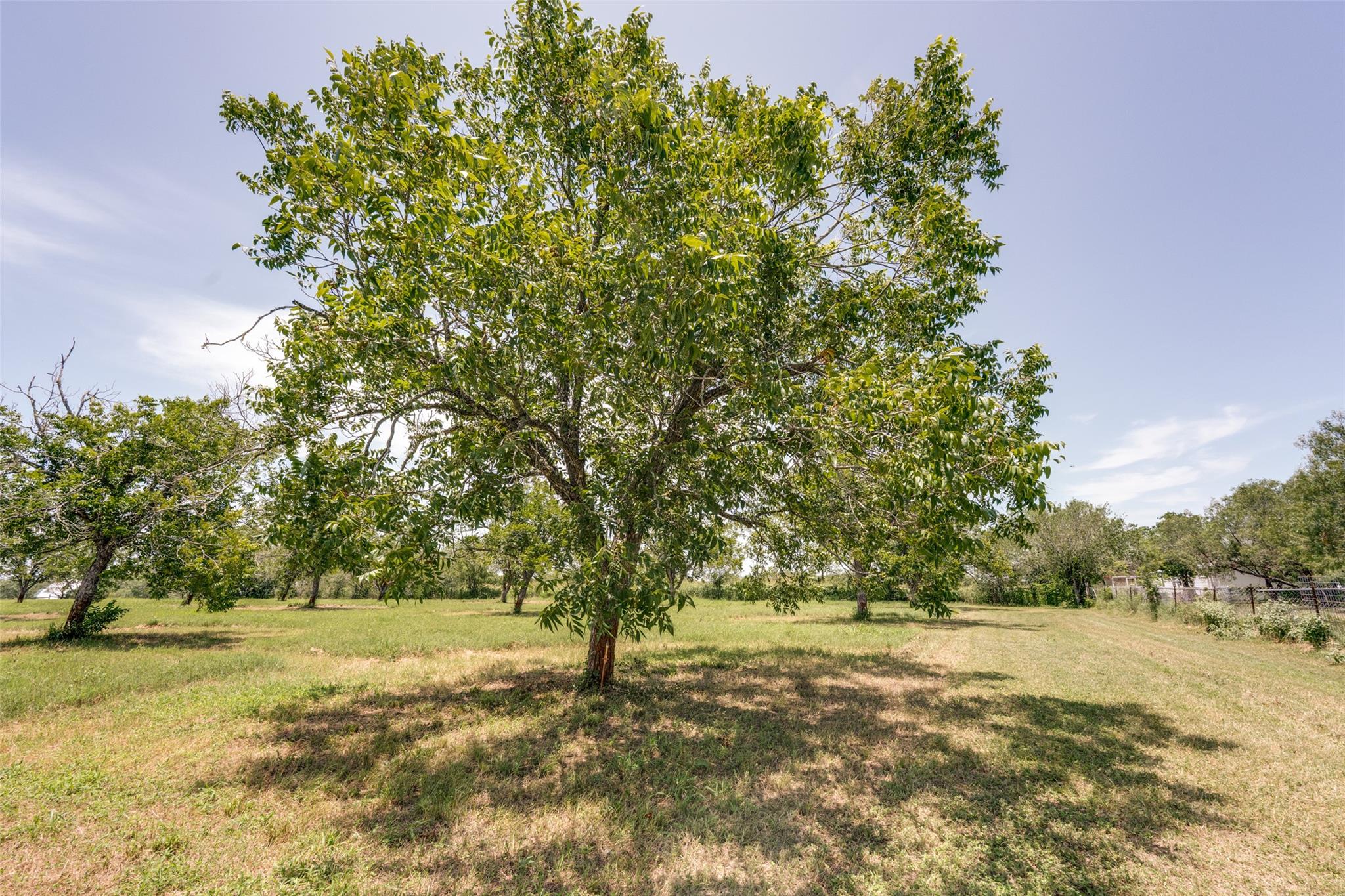 263 Krams Creek Rd Property Photo 7