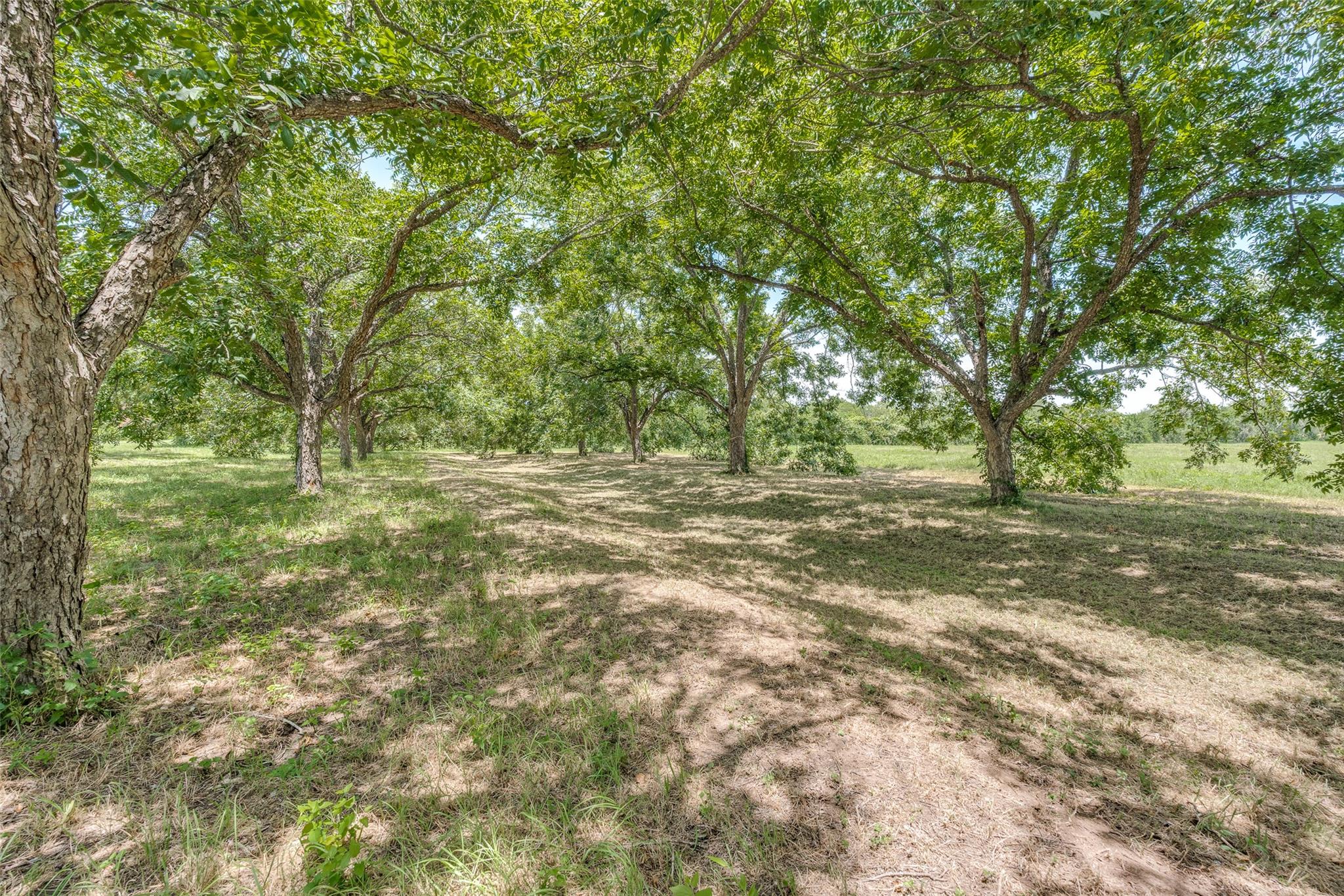 263 Krams Creek Rd Property Photo 8