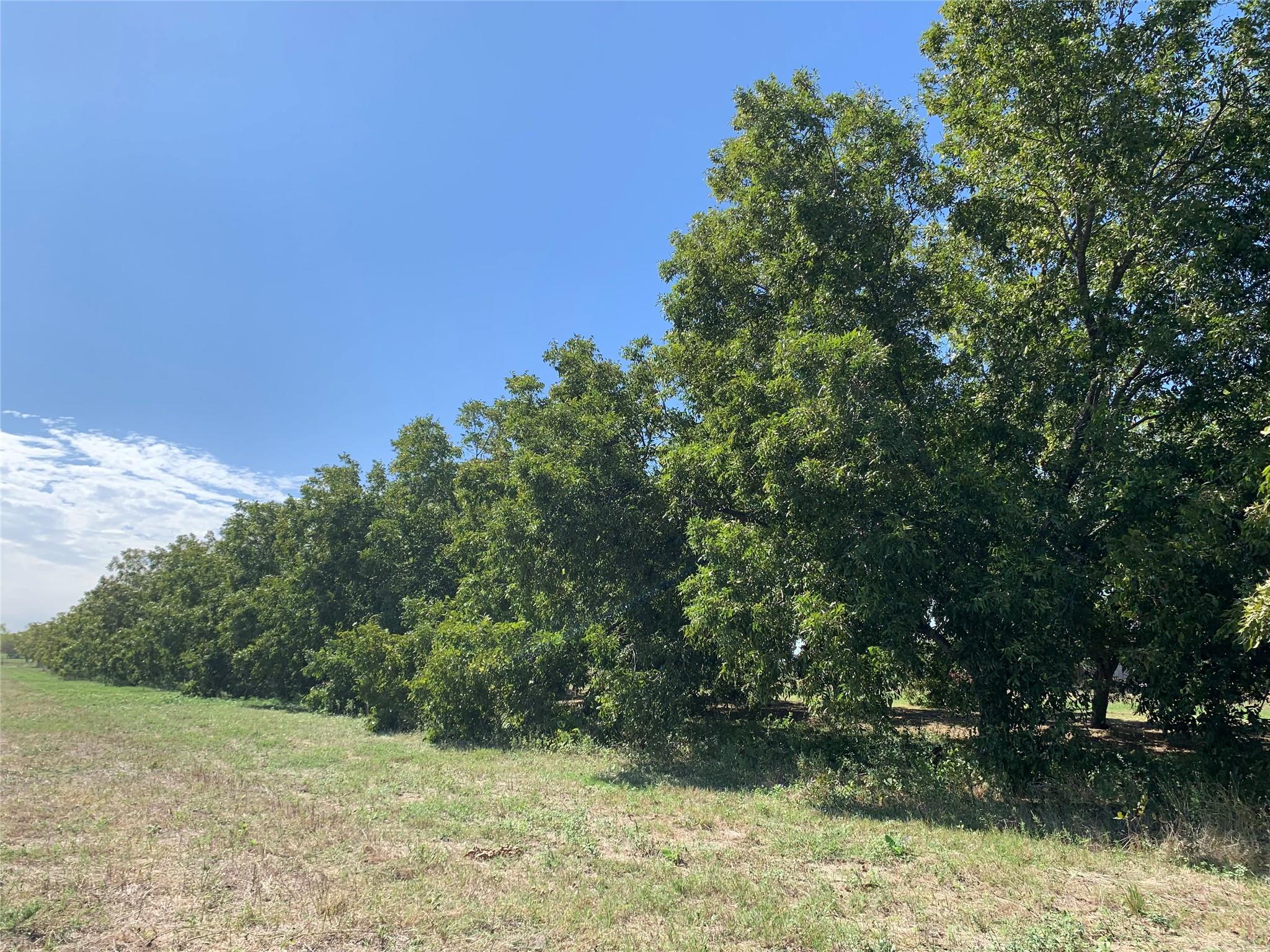 263 Krams Creek Rd Property Photo 22