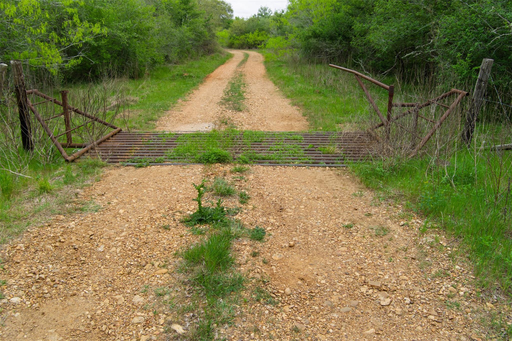 Tbd League Line Rd Property Photo 10