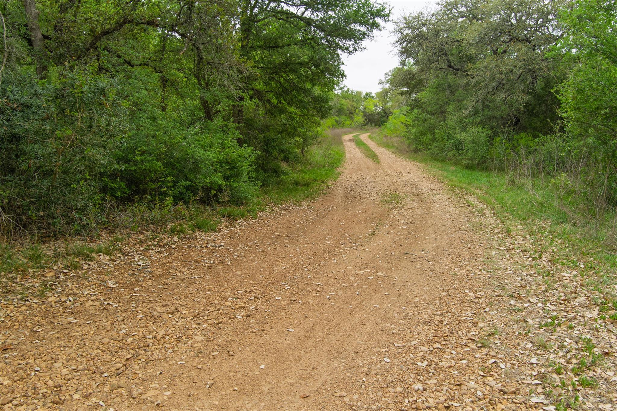 Tbd League Line Rd Property Photo 11