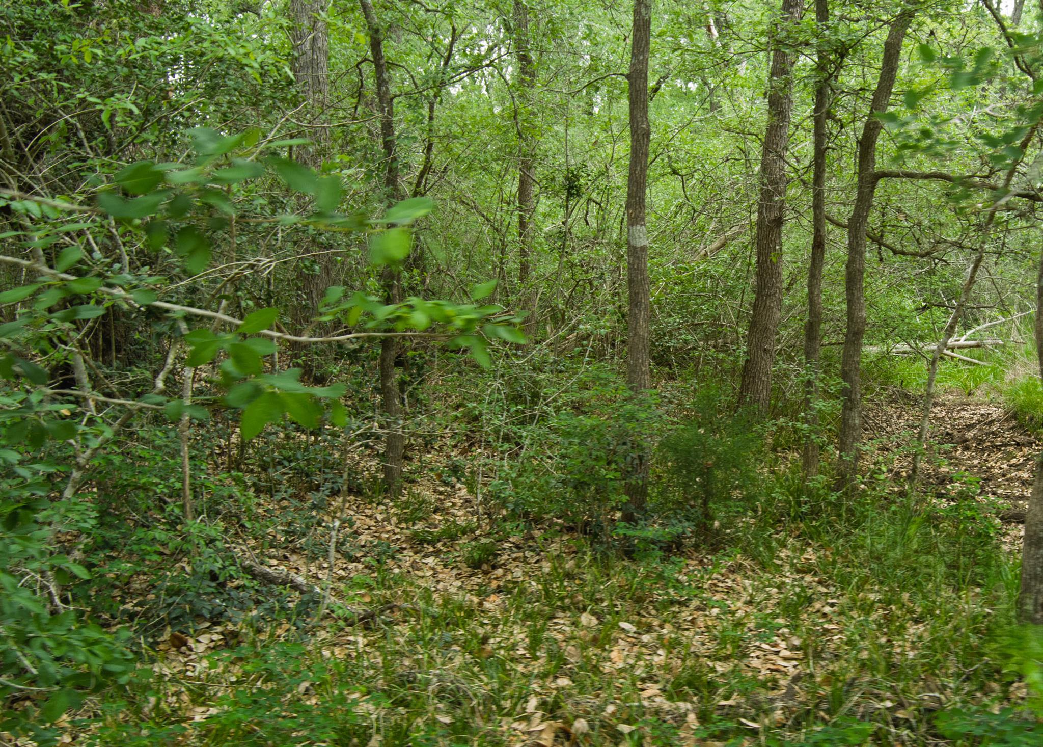Tbd League Line Rd Property Photo 15