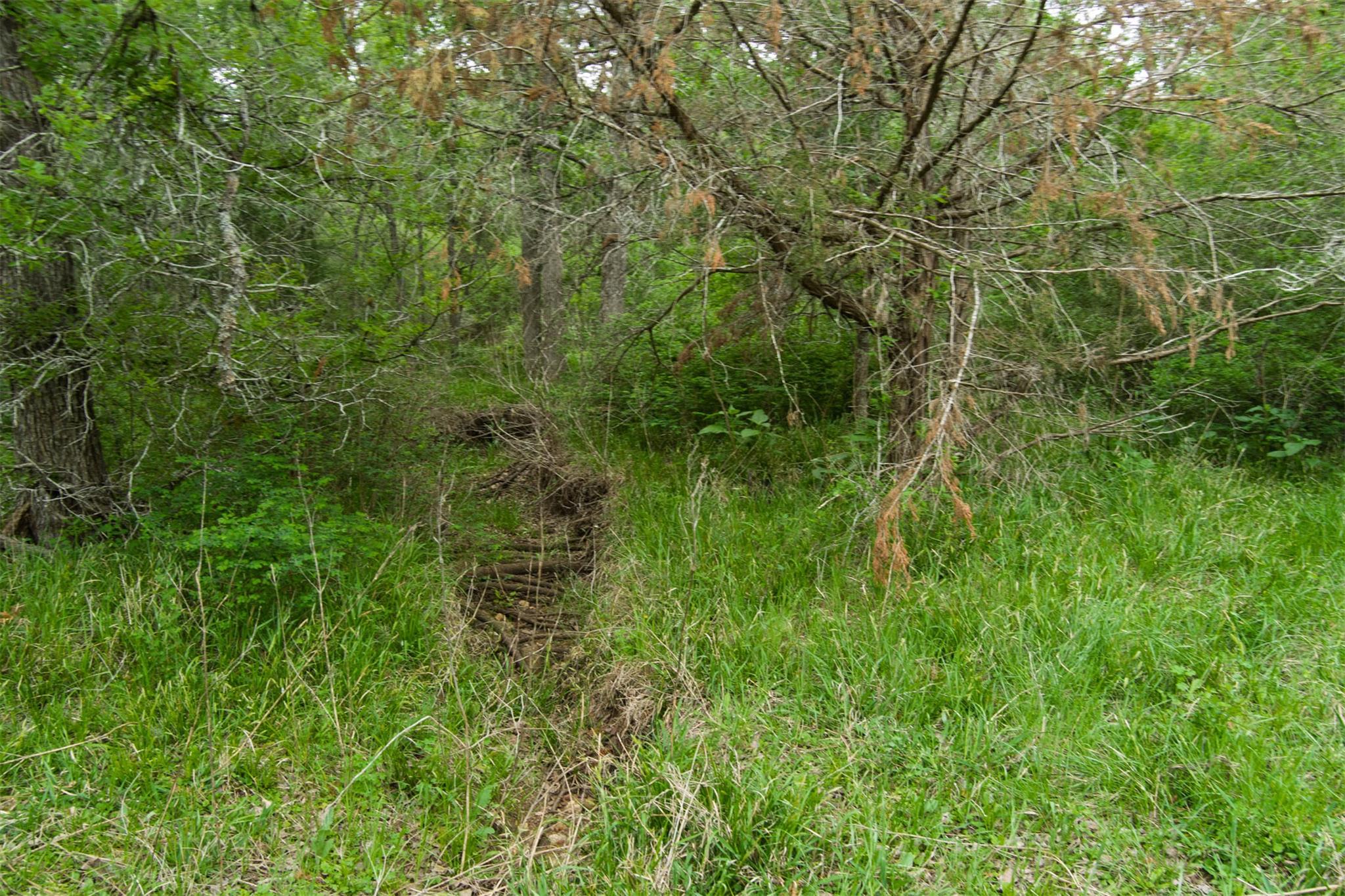 Tbd League Line Rd Property Photo 16