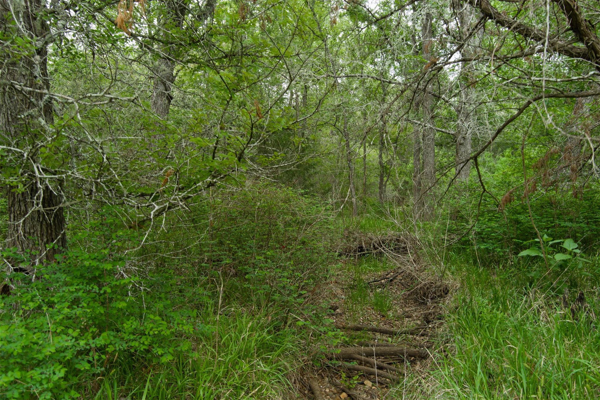 Tbd League Line Rd Property Photo 17