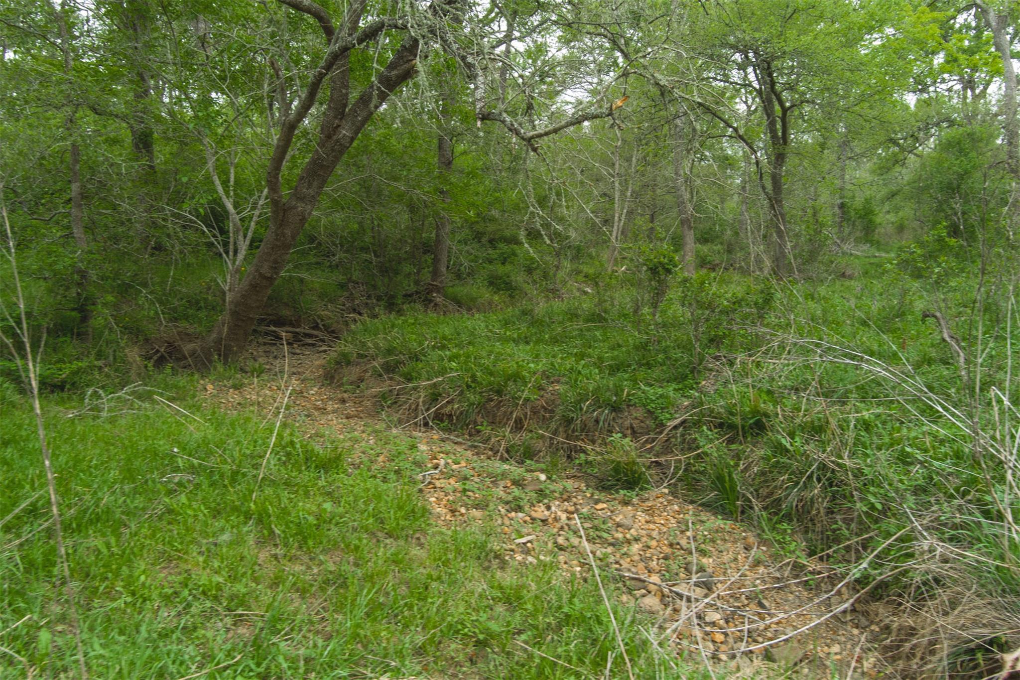 Tbd League Line Rd Property Photo 18