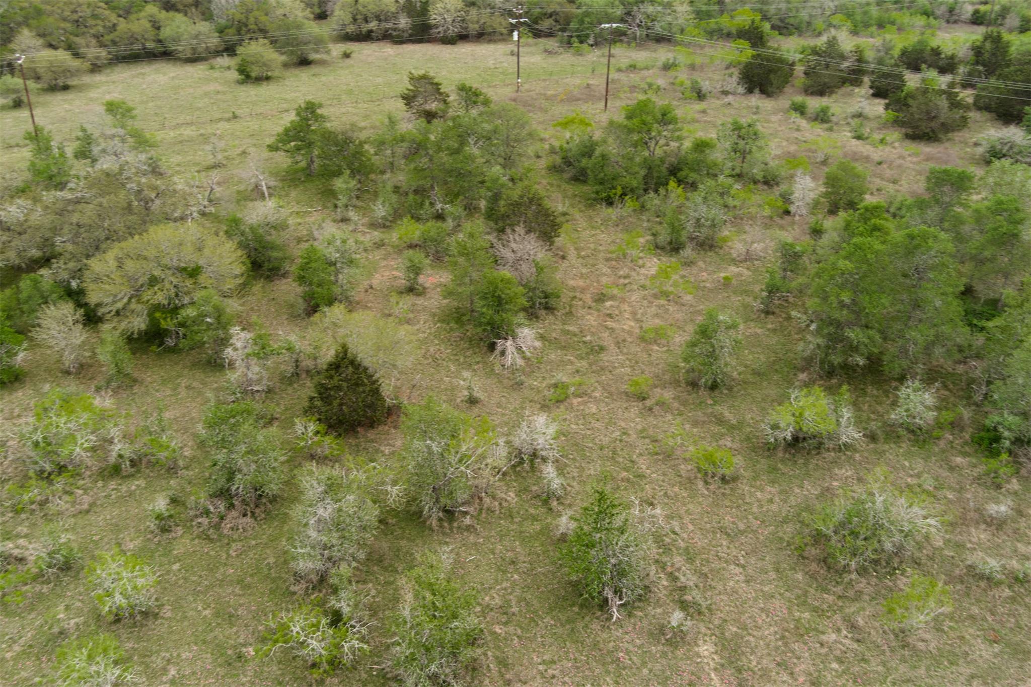 Tbd League Line Rd Property Photo 34