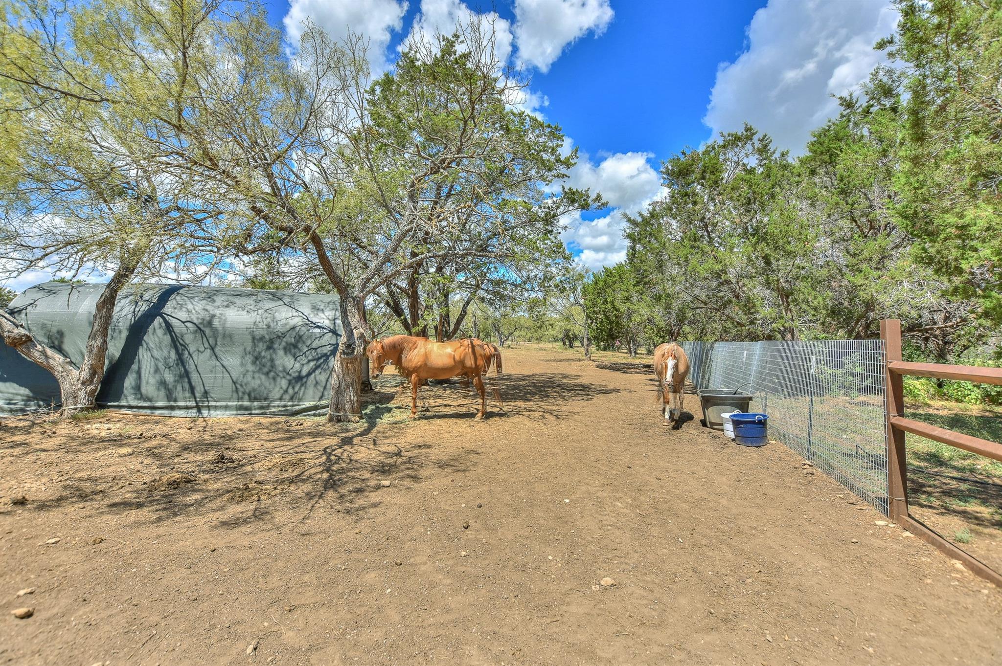 3295 County Road 206 Property Photo 4