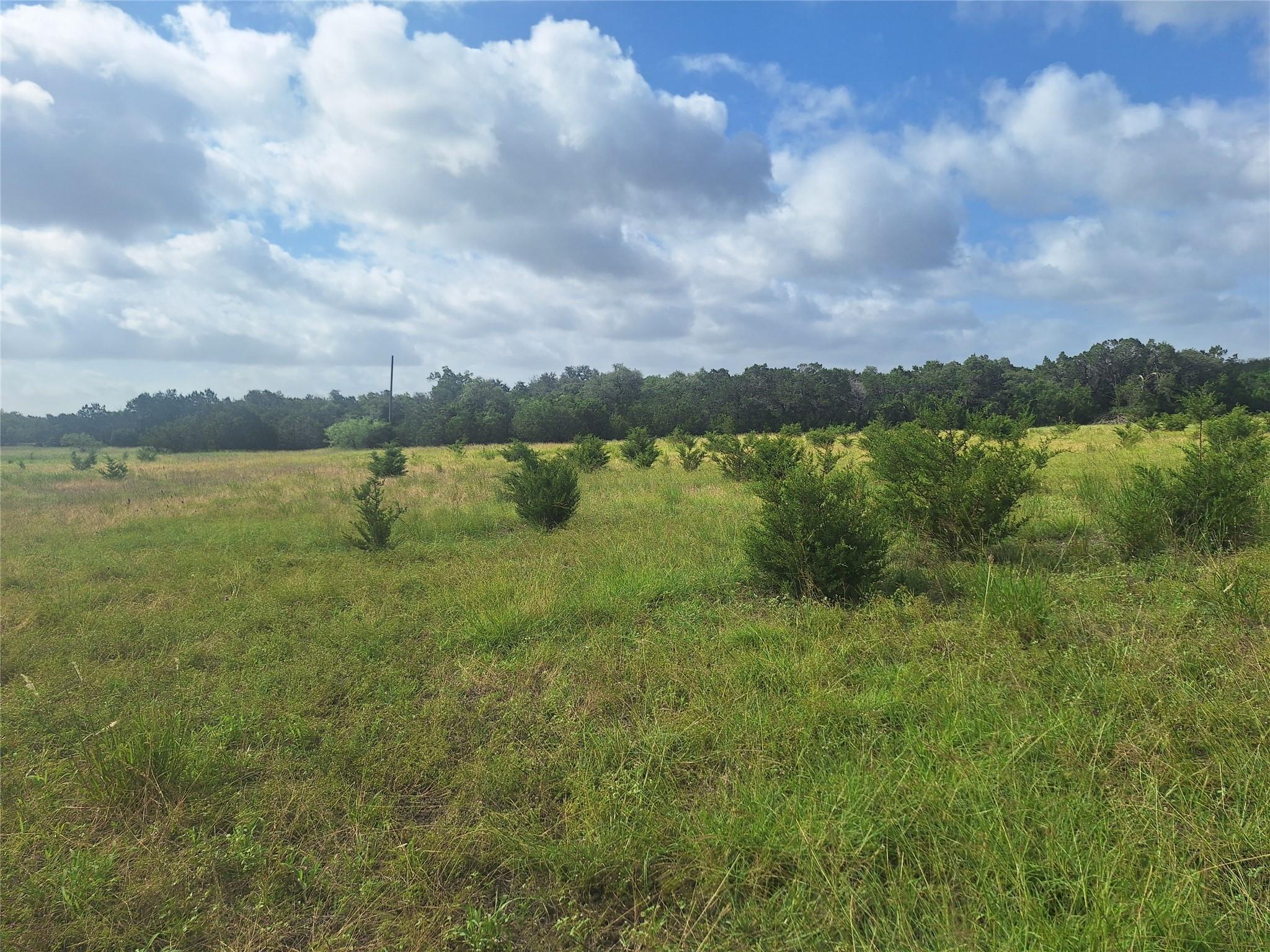 1483 County Road 281 Rd Property Photo 4