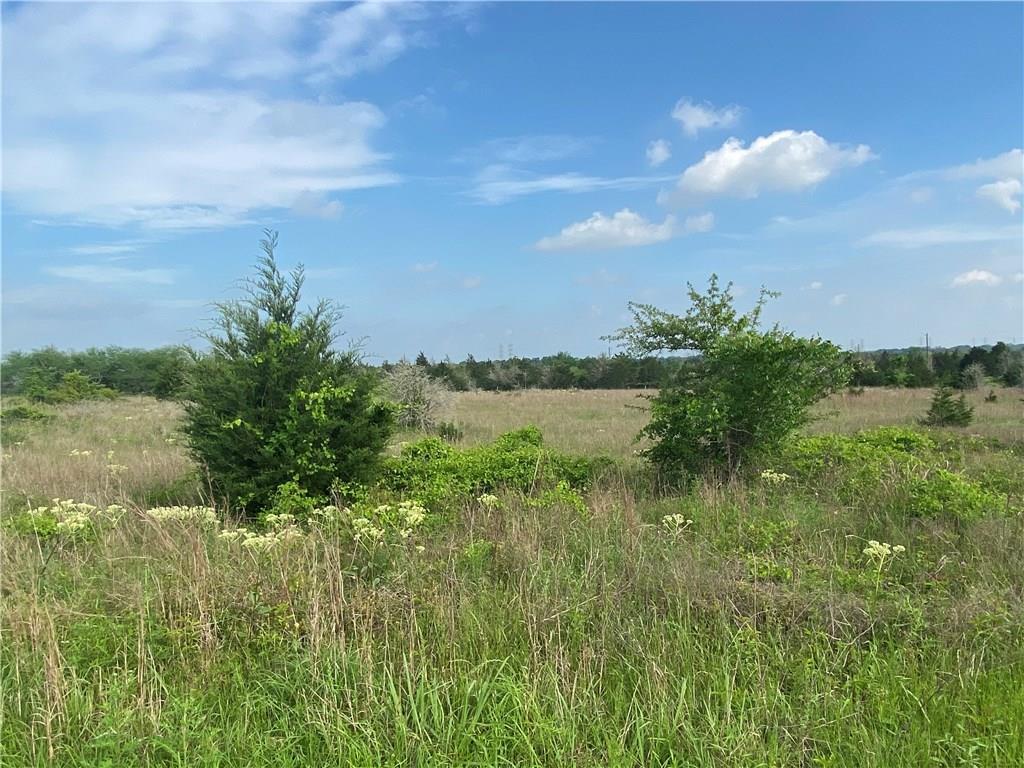 7446 W State Highway 159 None Property Photo 1