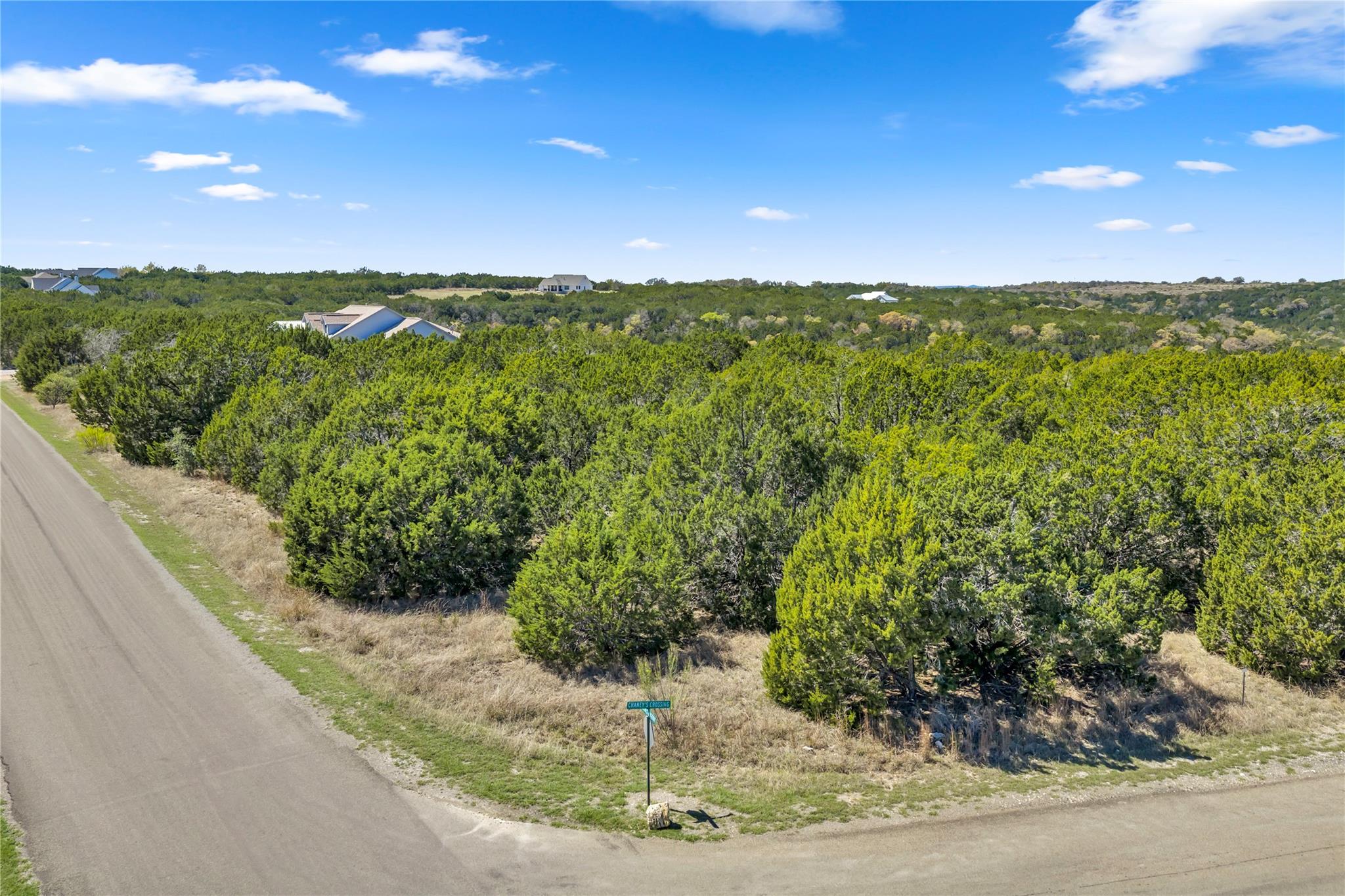 358 Balcones Ridgeway Way Property Photo 7