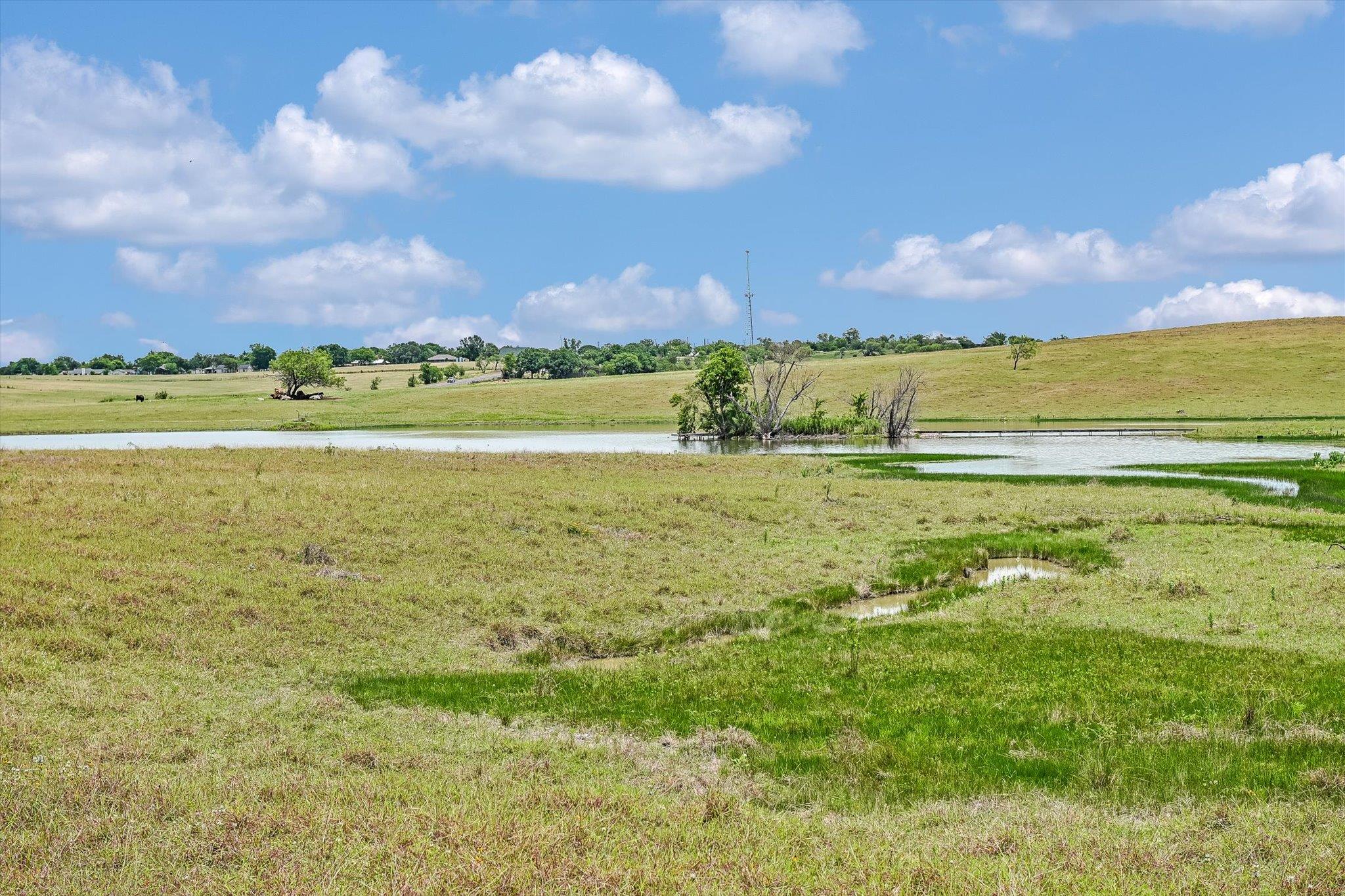 1157 Lago Vista St Property Photo 3