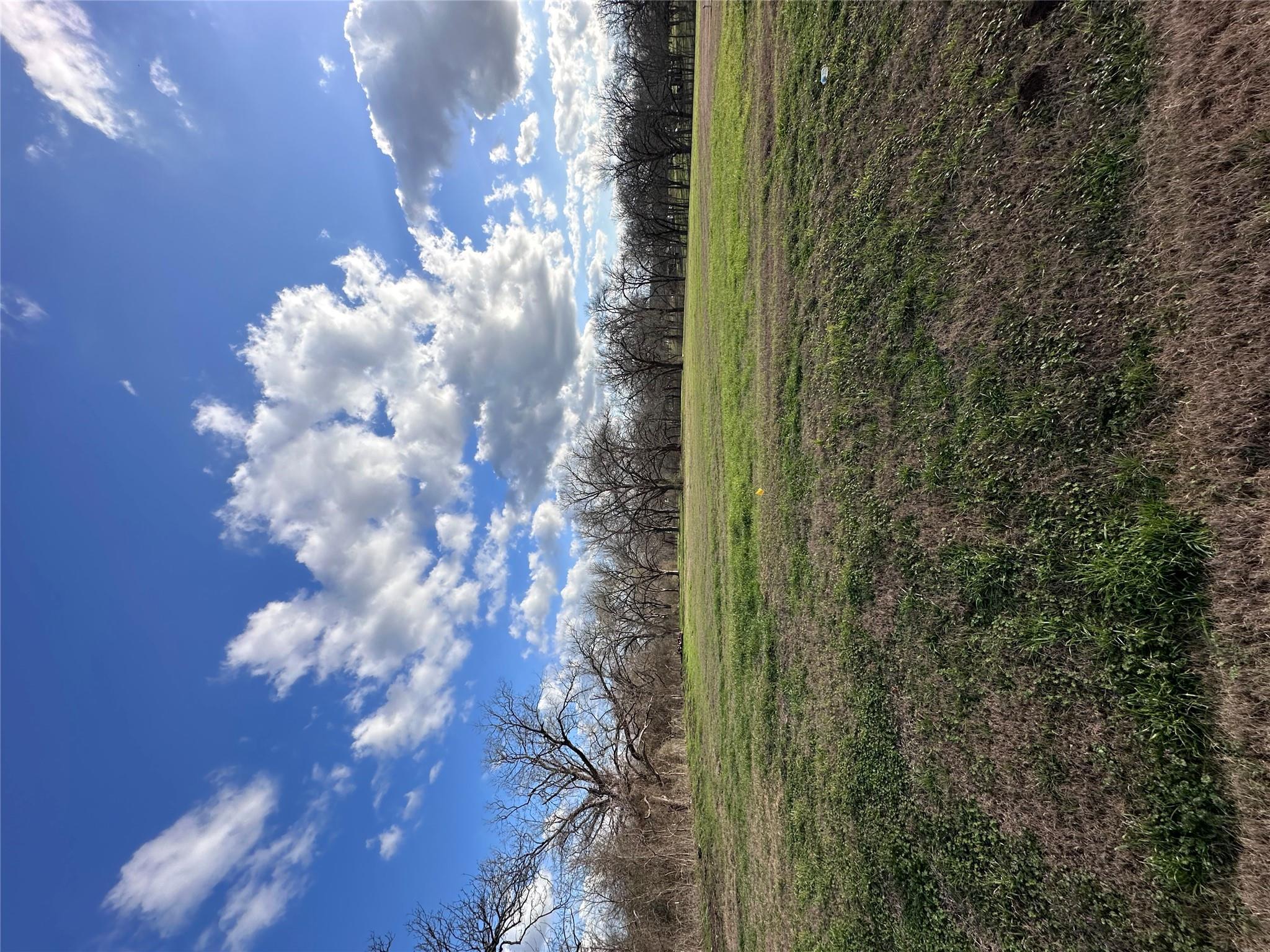 Lot 14 Hydrangea Dr Property Photo 5