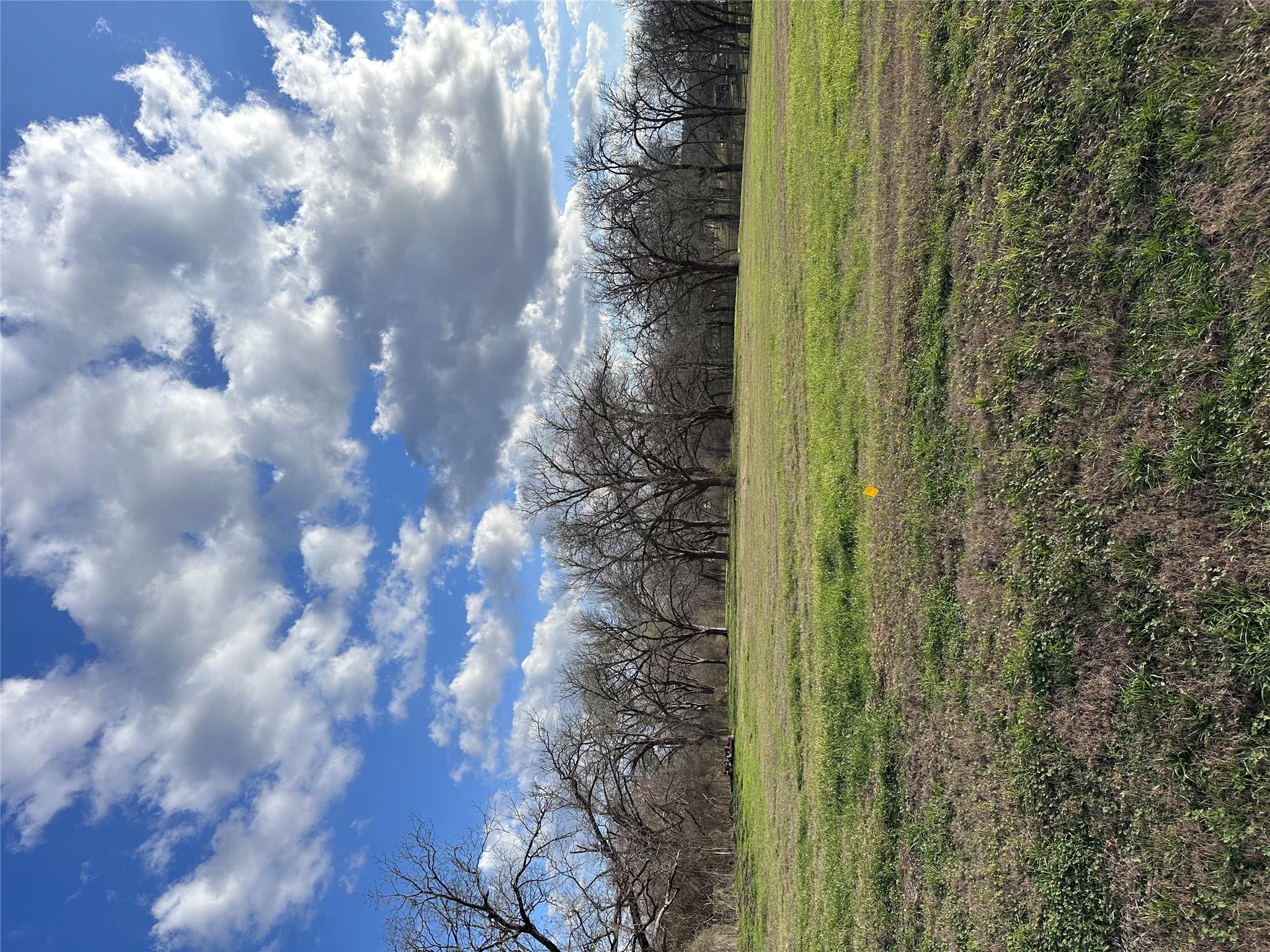 Lot 14 Hydrangea Dr Property Photo 6