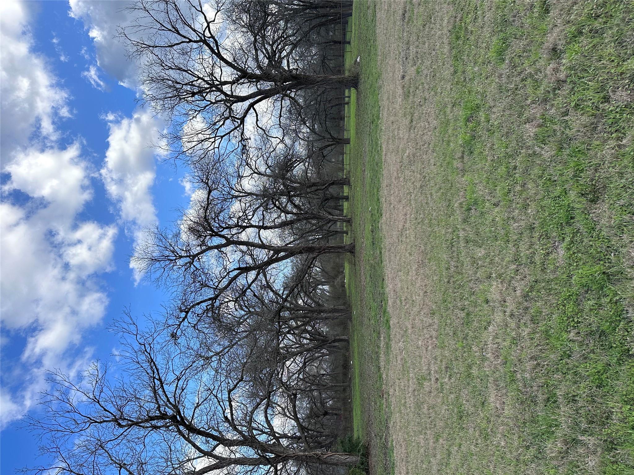 Lot 14 Hydrangea Dr Property Photo 8