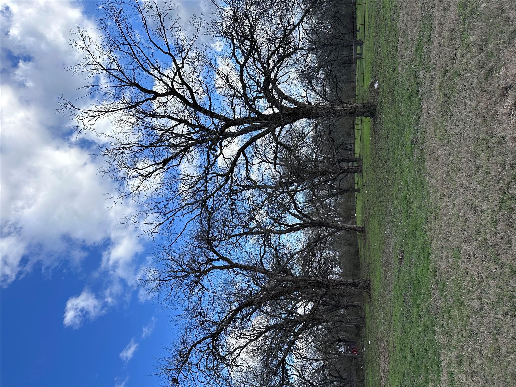 Lot 14 Hydrangea Dr Property Photo 9