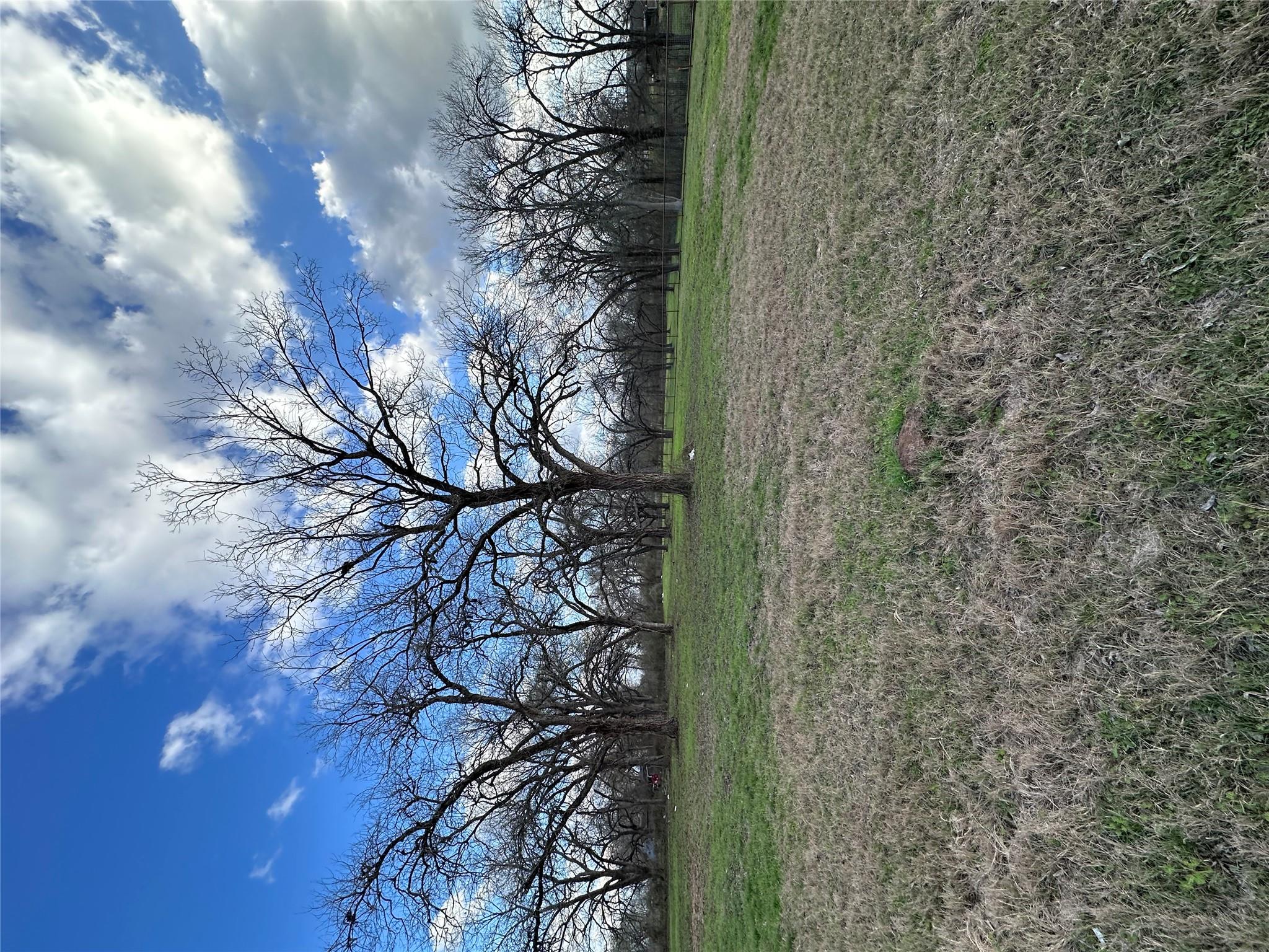 Lot 14 Hydrangea Dr Property Photo 10