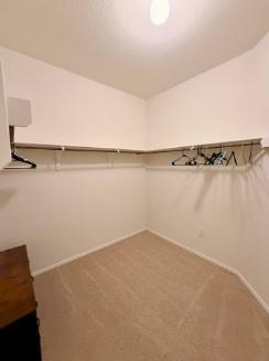 3701 Canaan Matthew None Property Photo 17