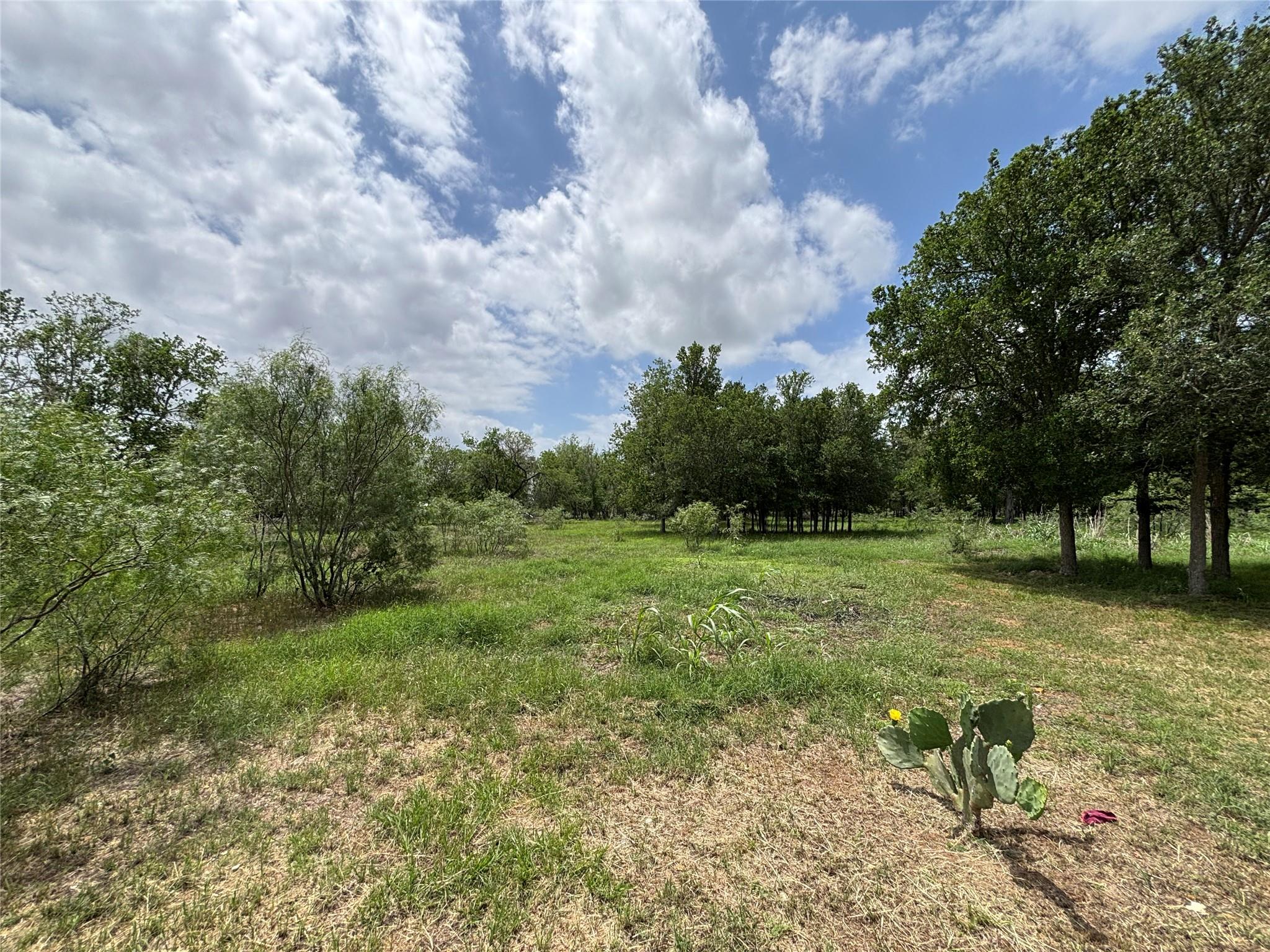 916 Rolling Oaks Dr Property Photo 8