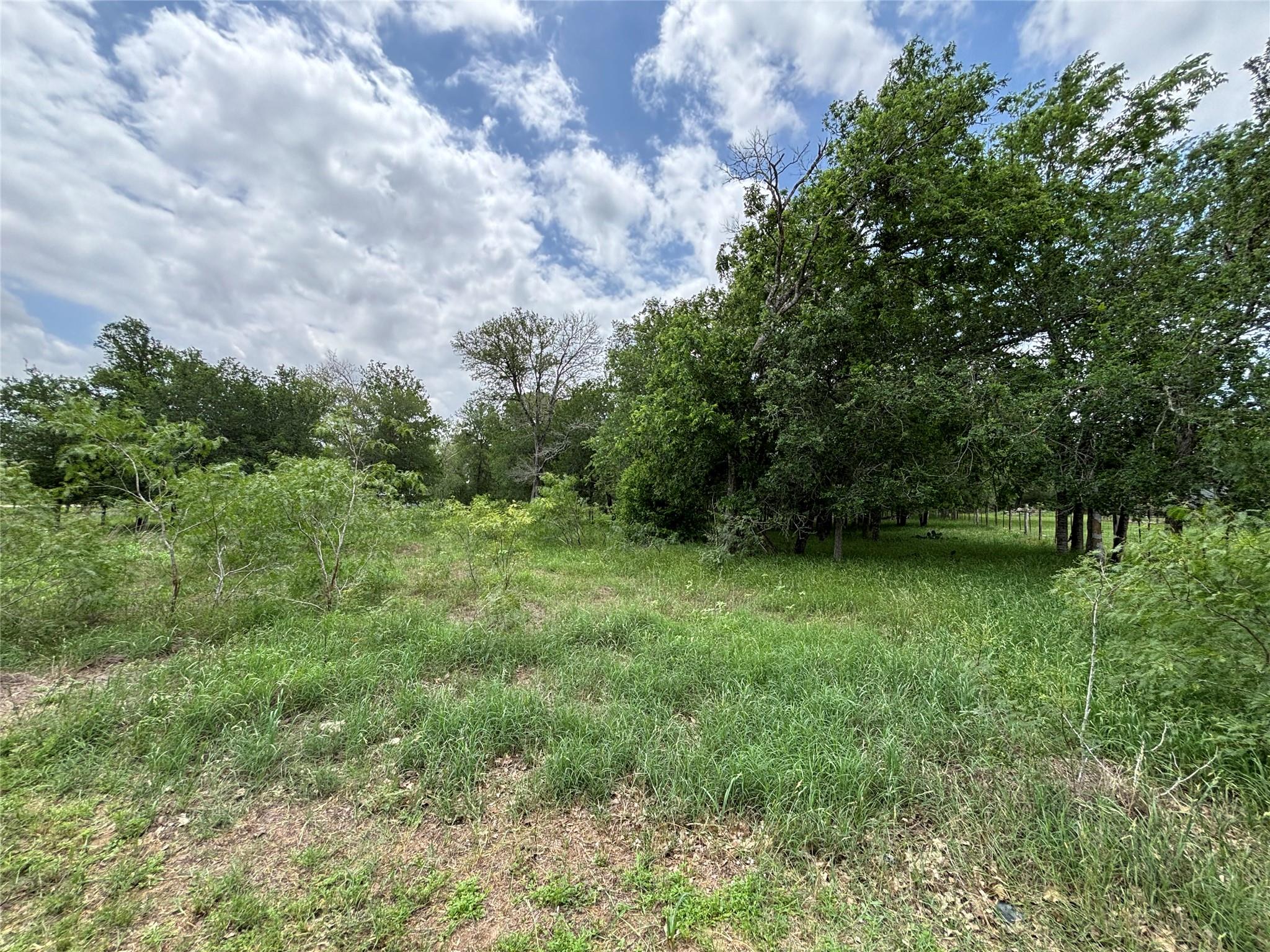916 Rolling Oaks Dr Property Photo 9