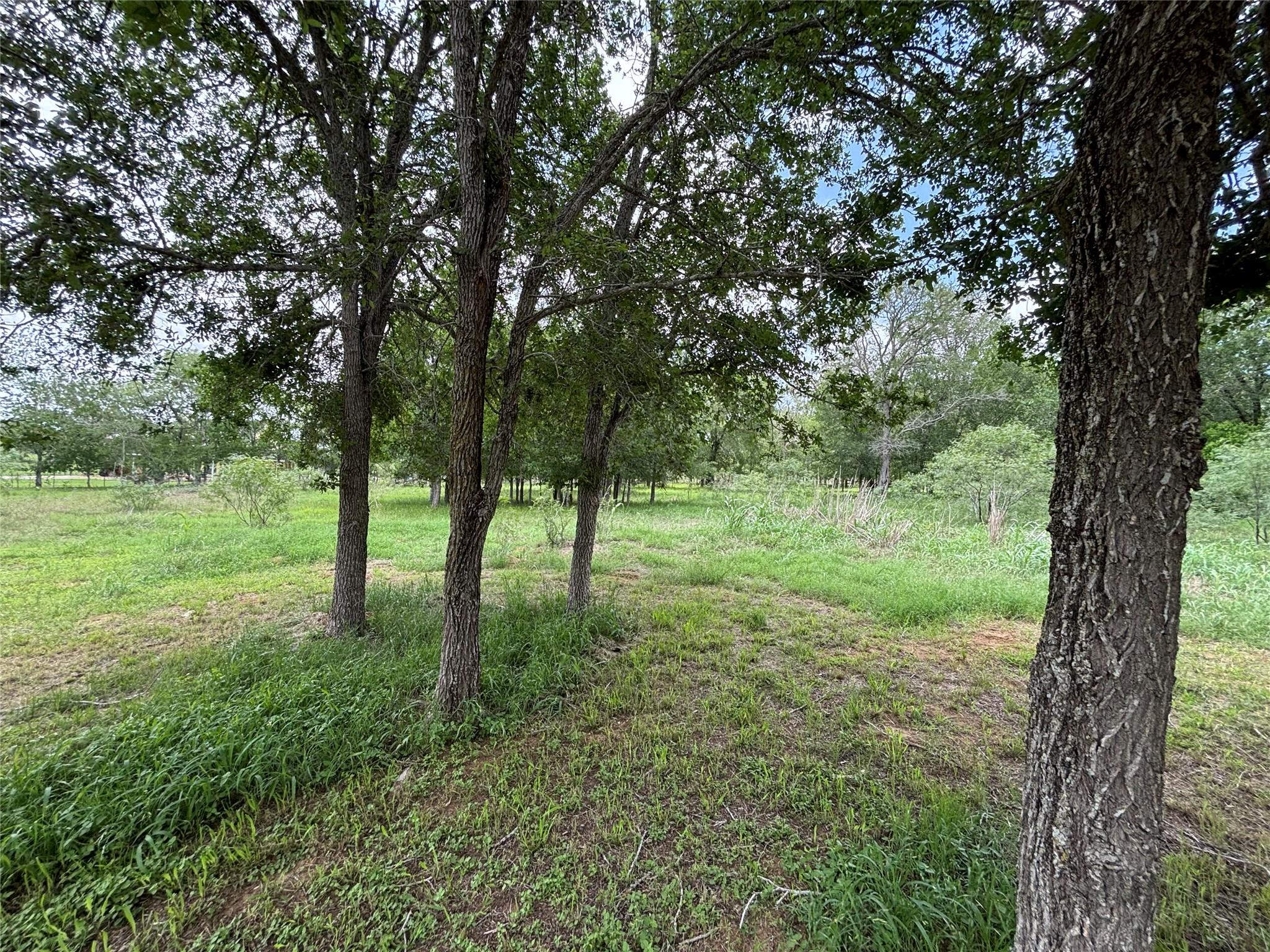 916 Rolling Oaks Dr Property Photo 10