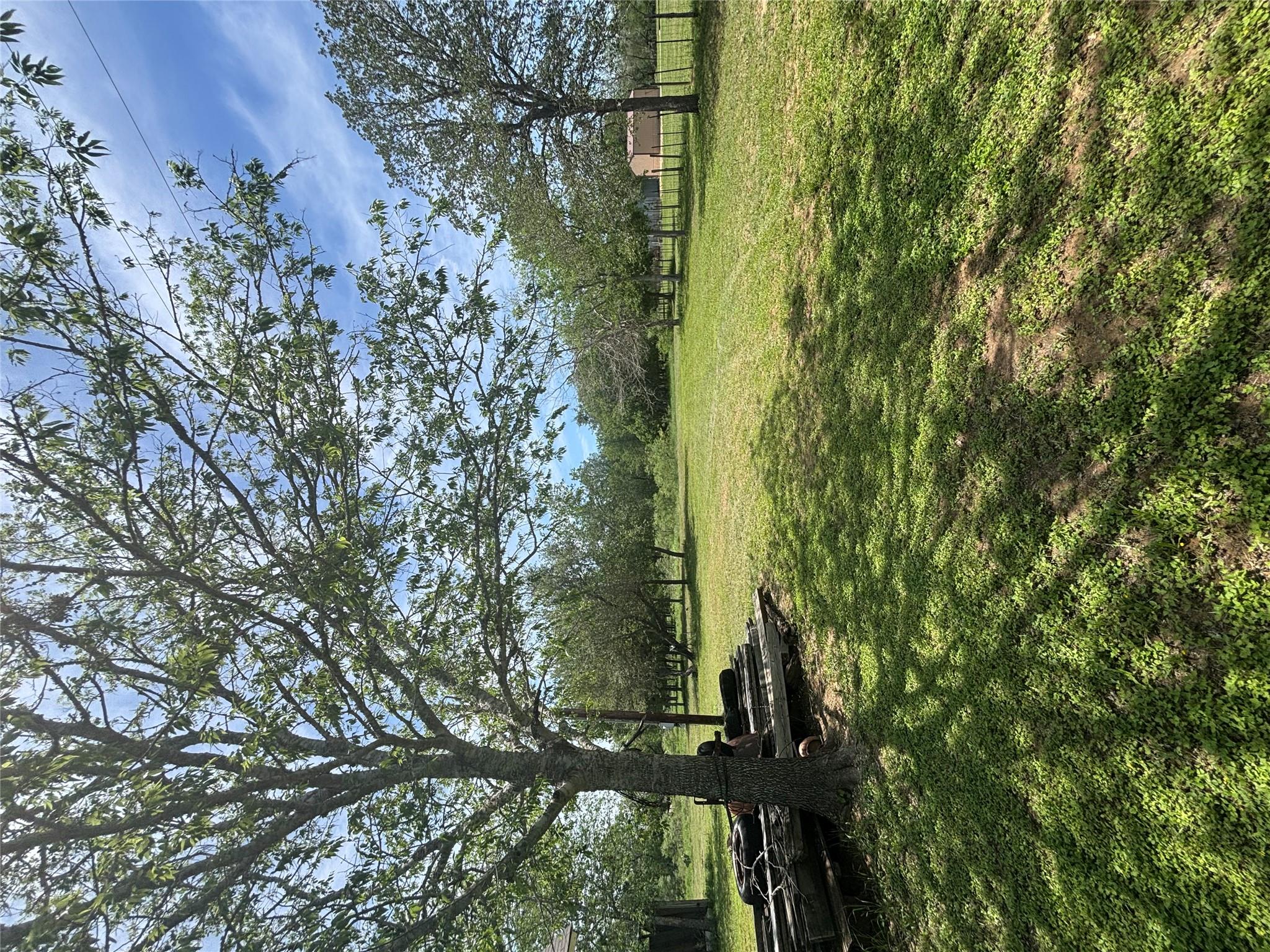 916 Rolling Oaks Dr Property Photo 17