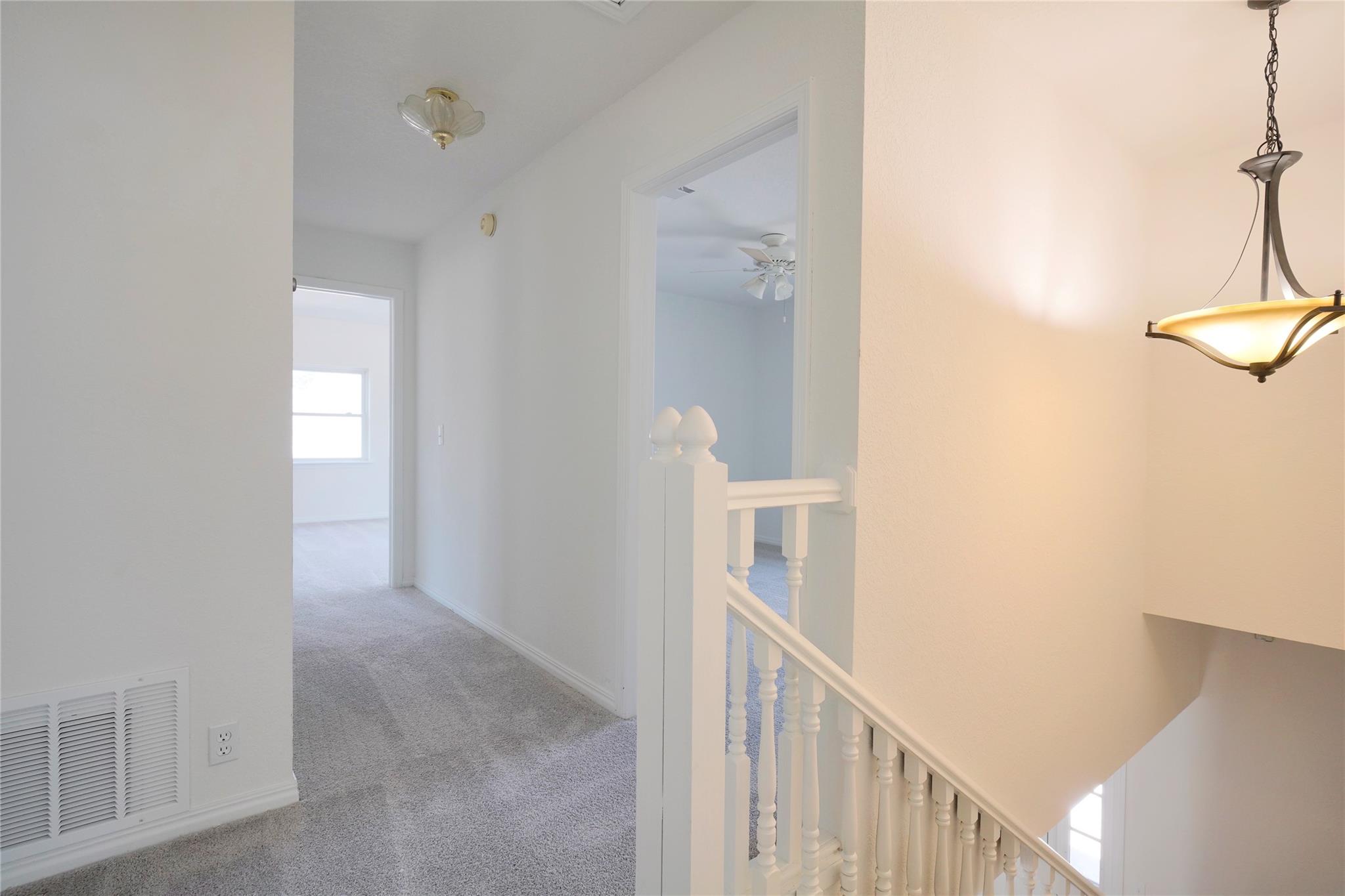 8521 Racine Trl Property Photo 16