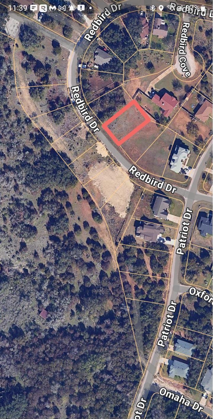 22006 Redbird Dr Property Photo 3