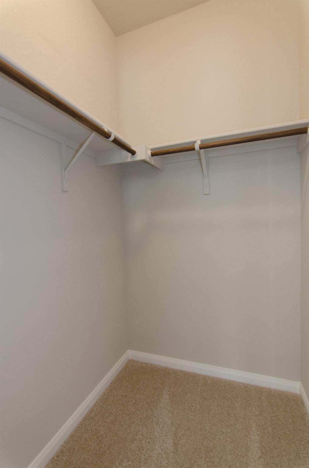 262 Fall Aster Dr Property Photo 7