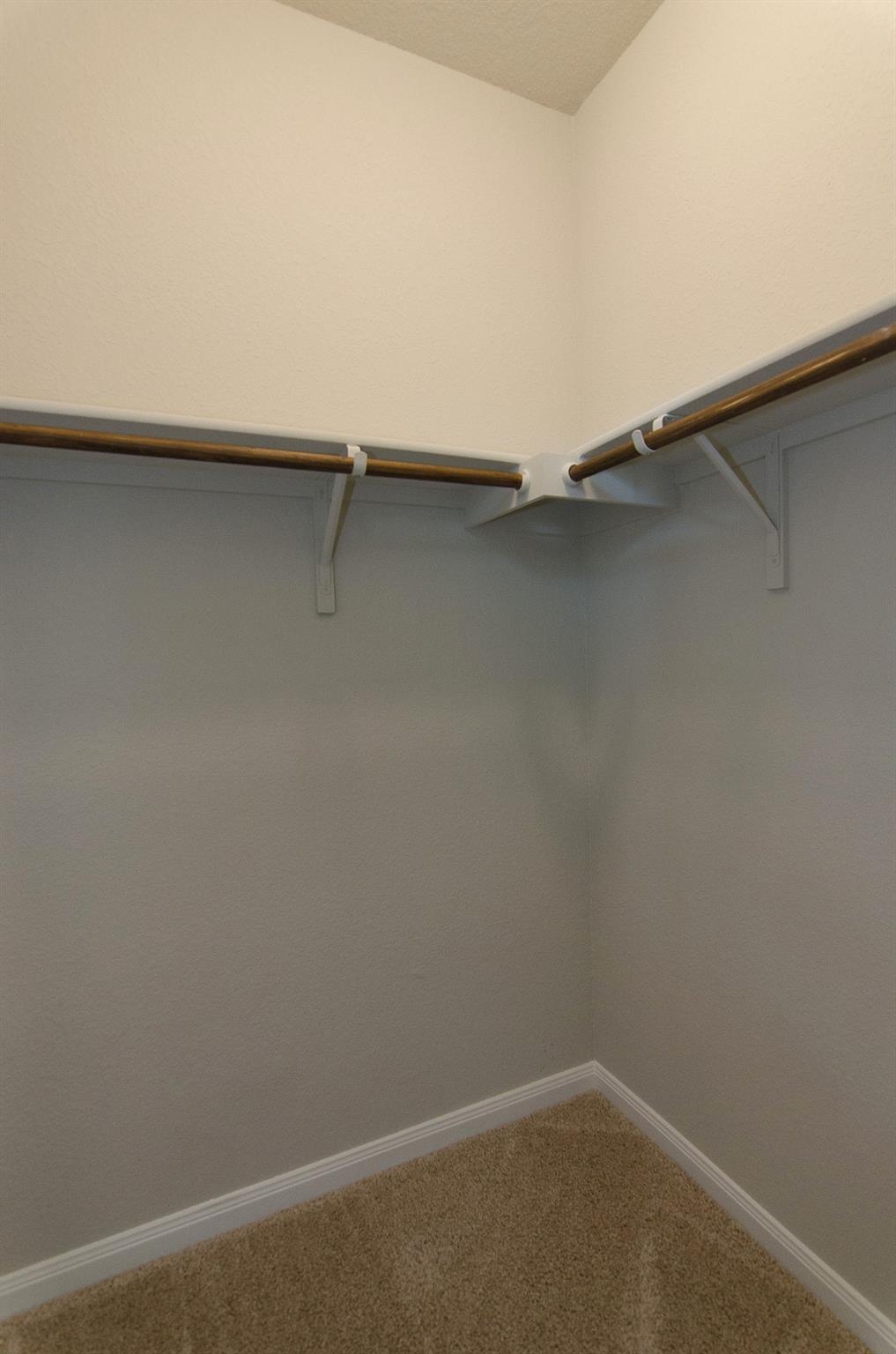 262 Fall Aster Dr Property Photo 8