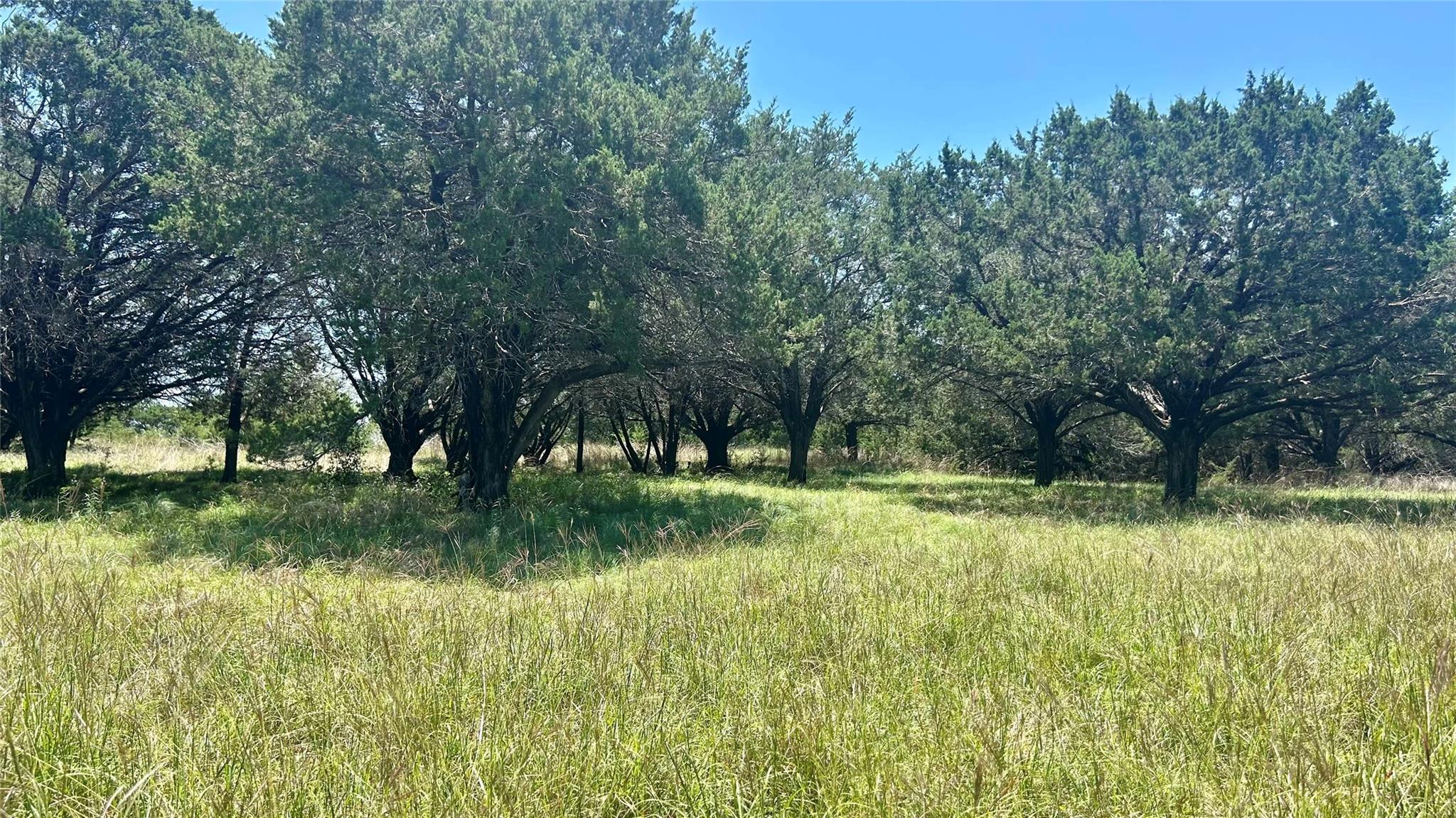 000 County Road 340 None Property Photo 5