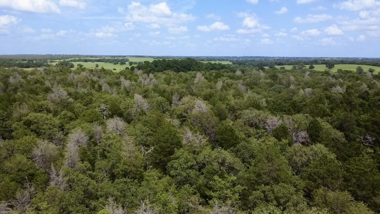 Tbd County Road 337 None Property Photo 1