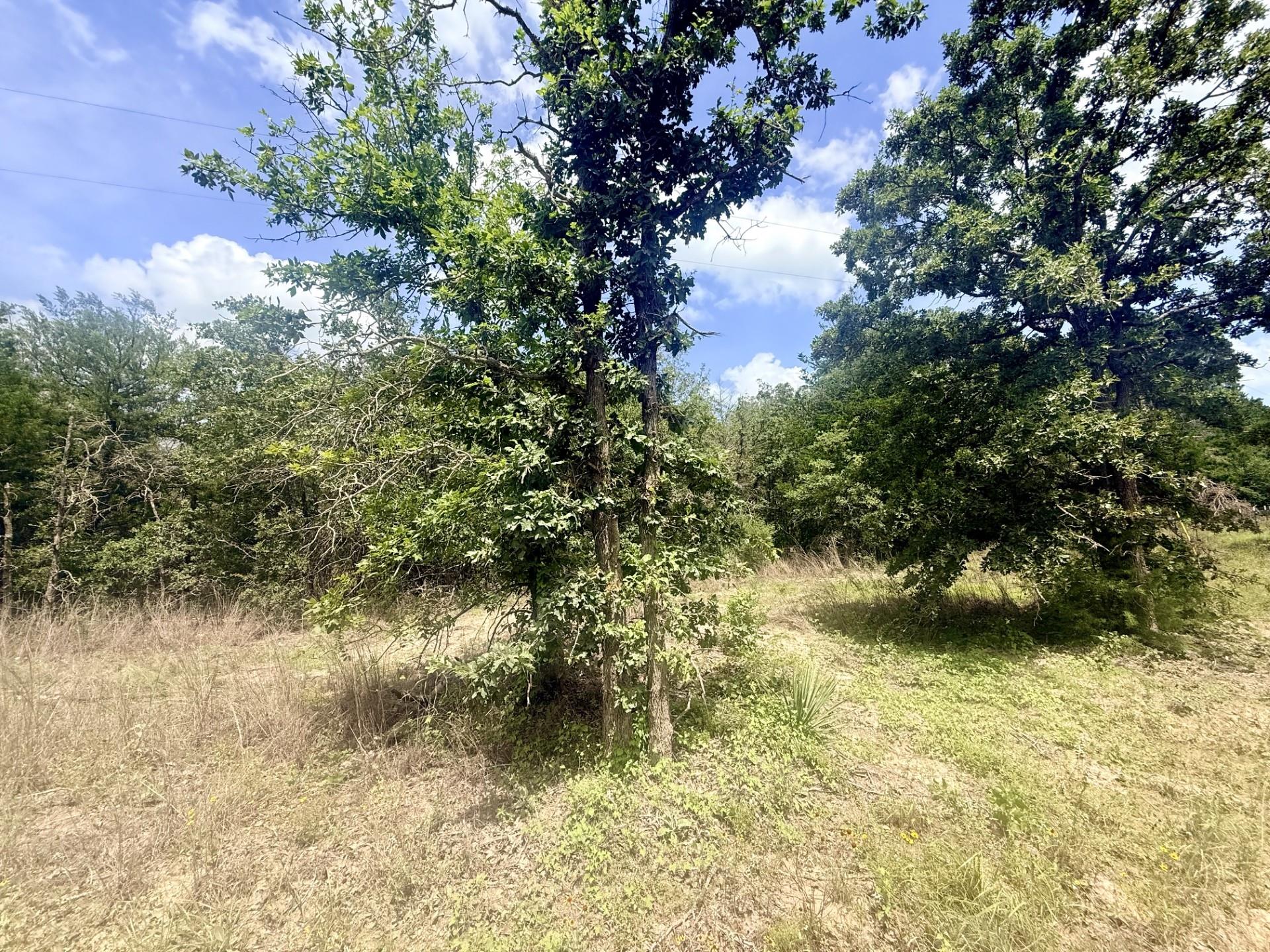 Tbd County Road 337 None Property Photo 3