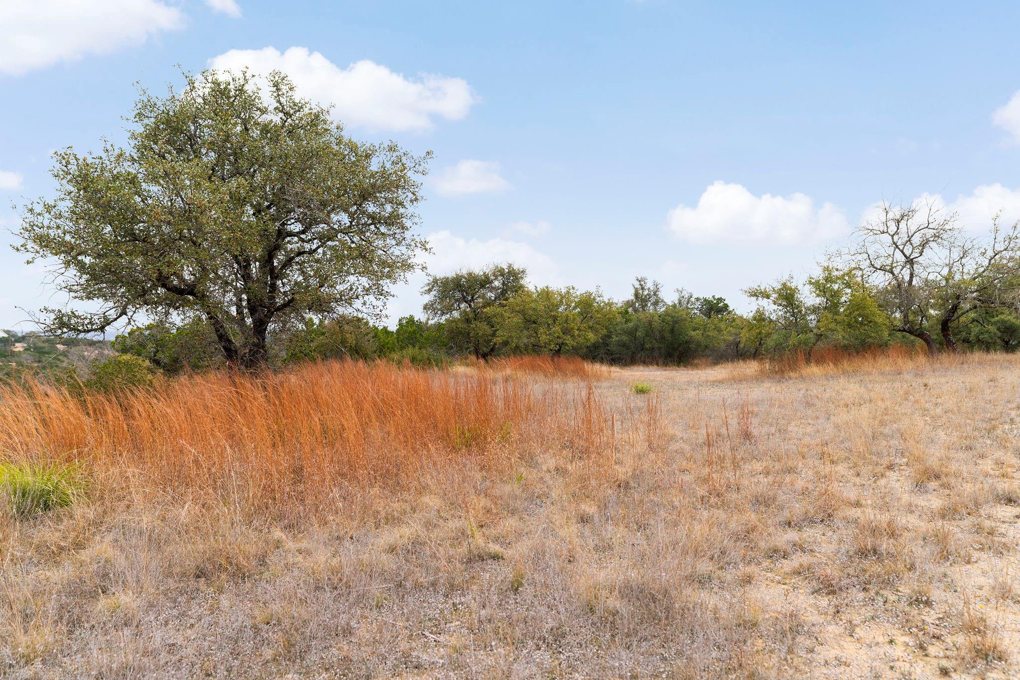 21418 Kathy Ln Property Photo 34