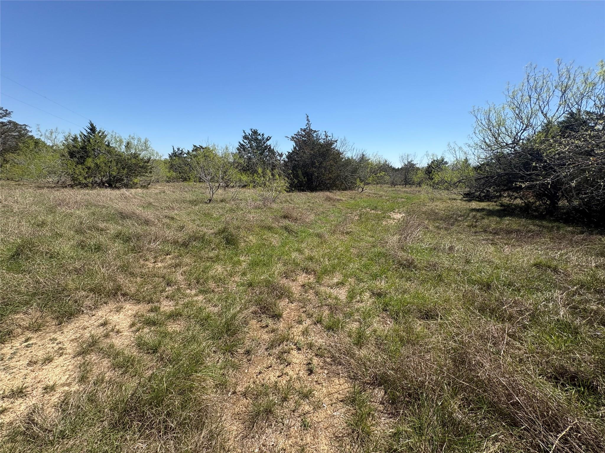 Tbd Patterson Rd Property Photo 7