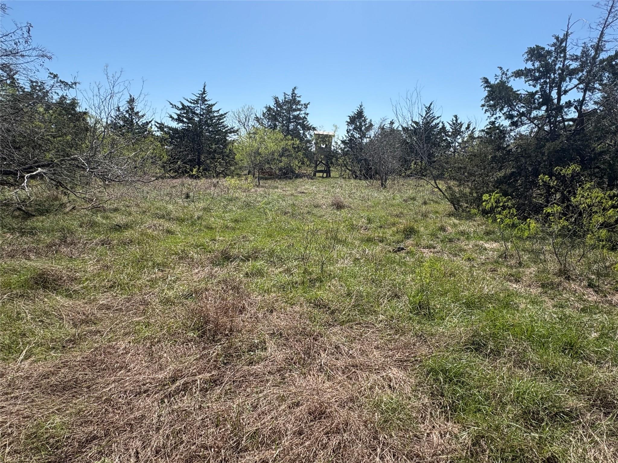Tbd Patterson Rd Property Photo 8