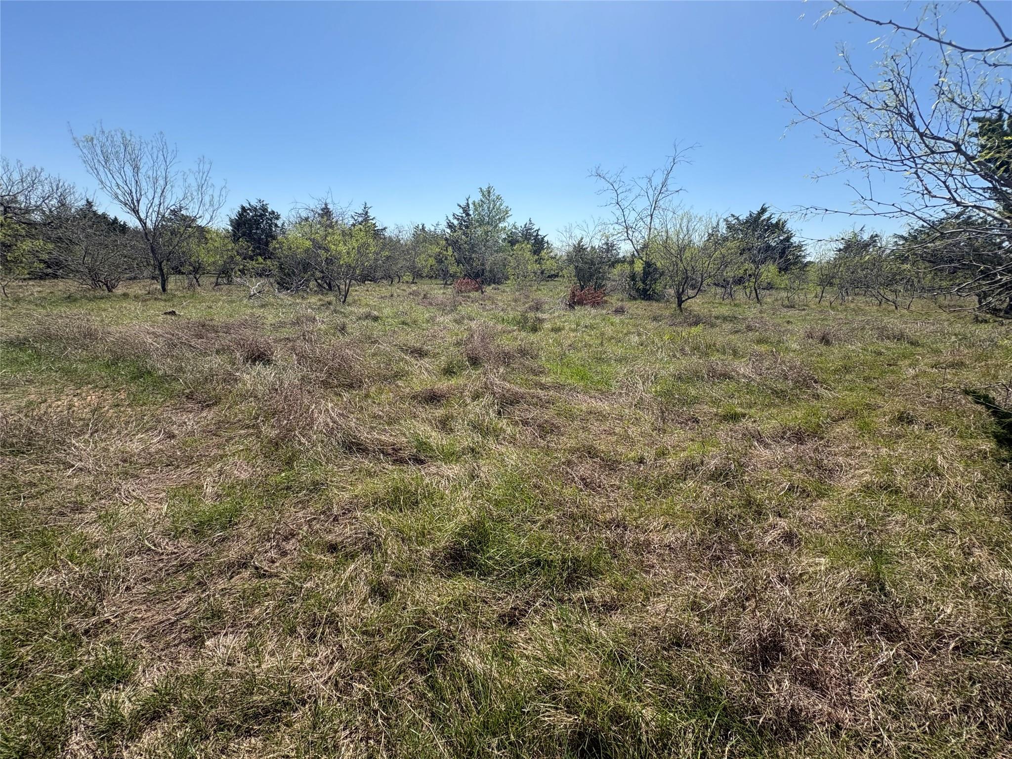Tbd Patterson Rd Property Photo 10